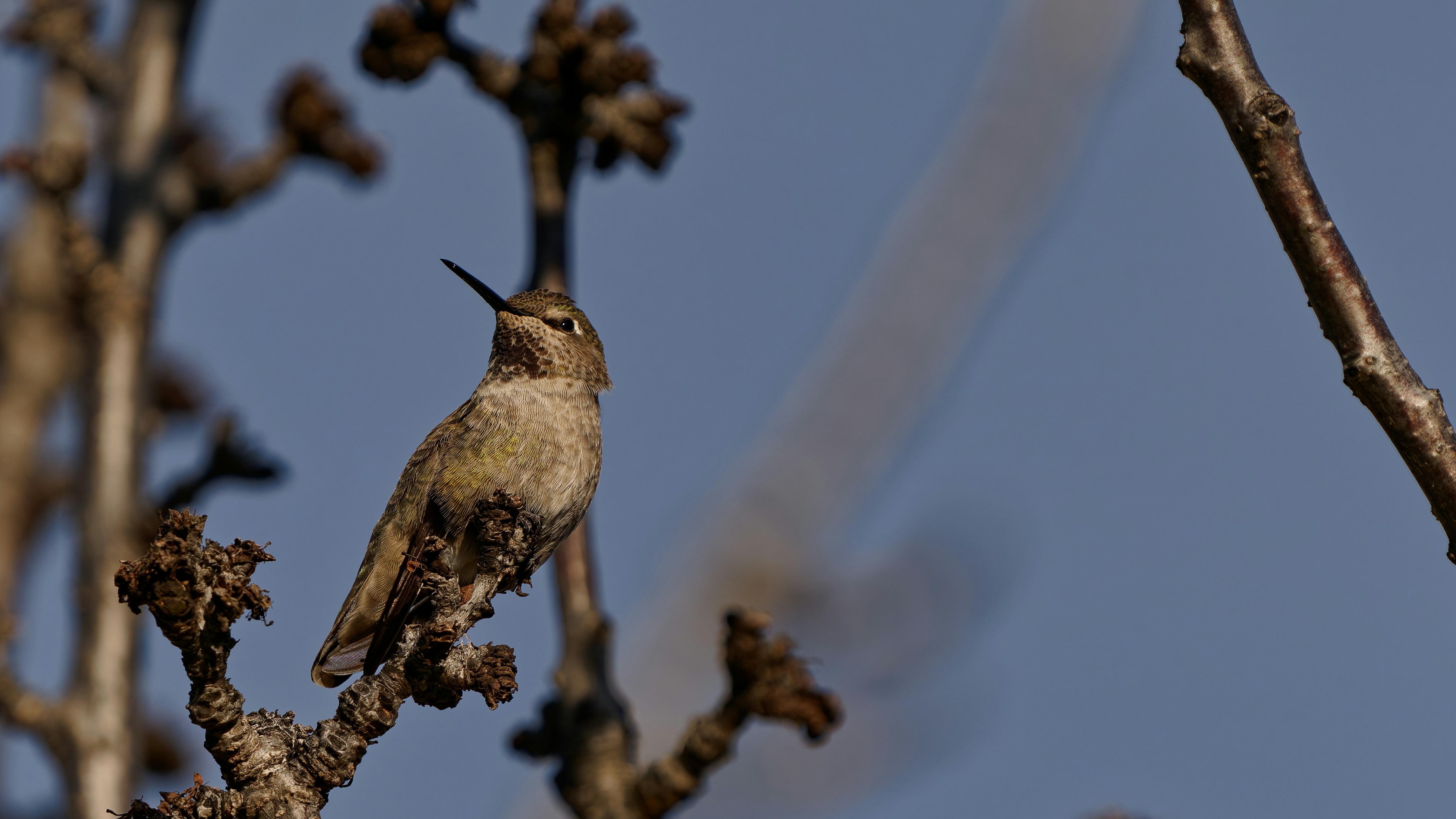 Photo by patrickbigelow_zoom_in