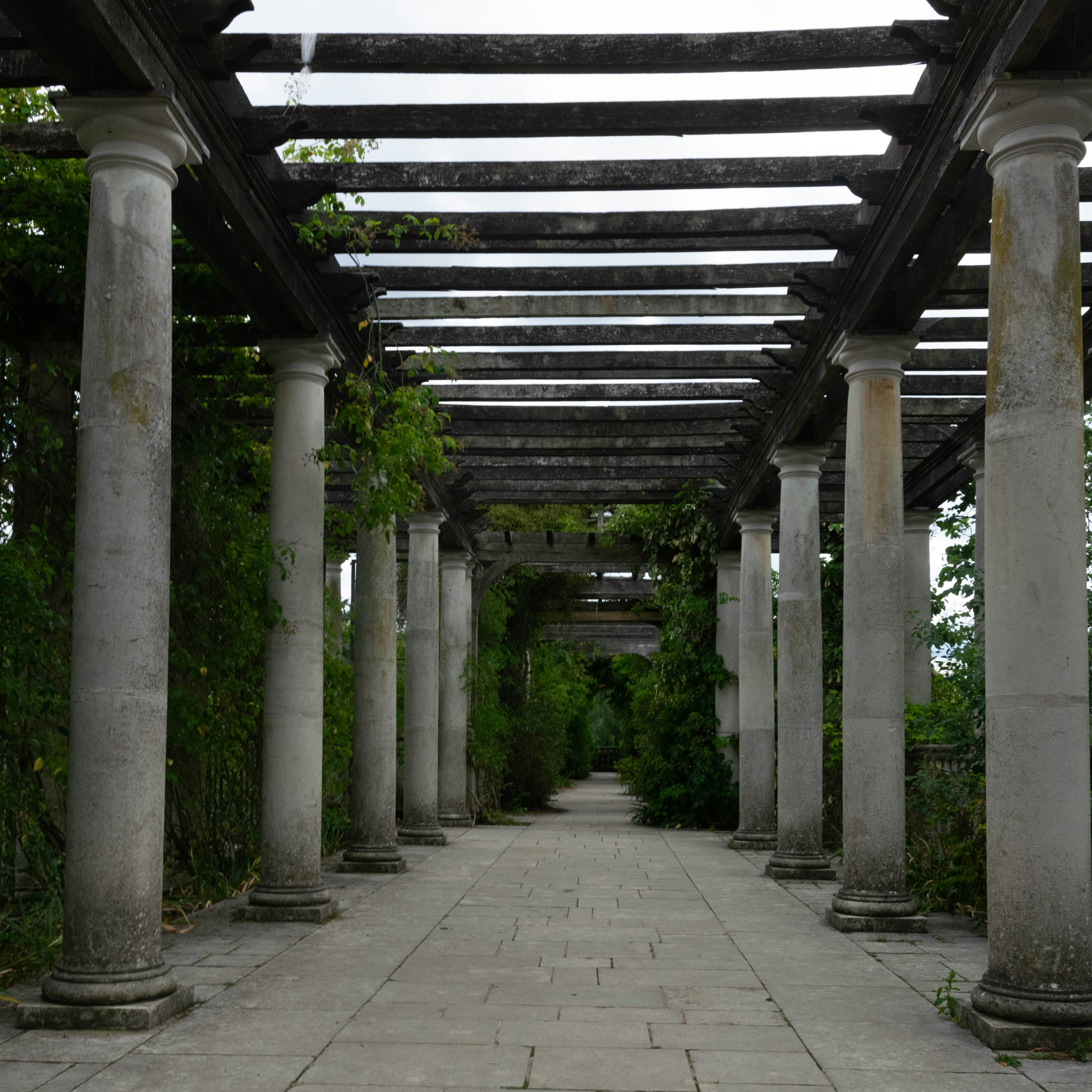 Photo by david_garrick_bangbola