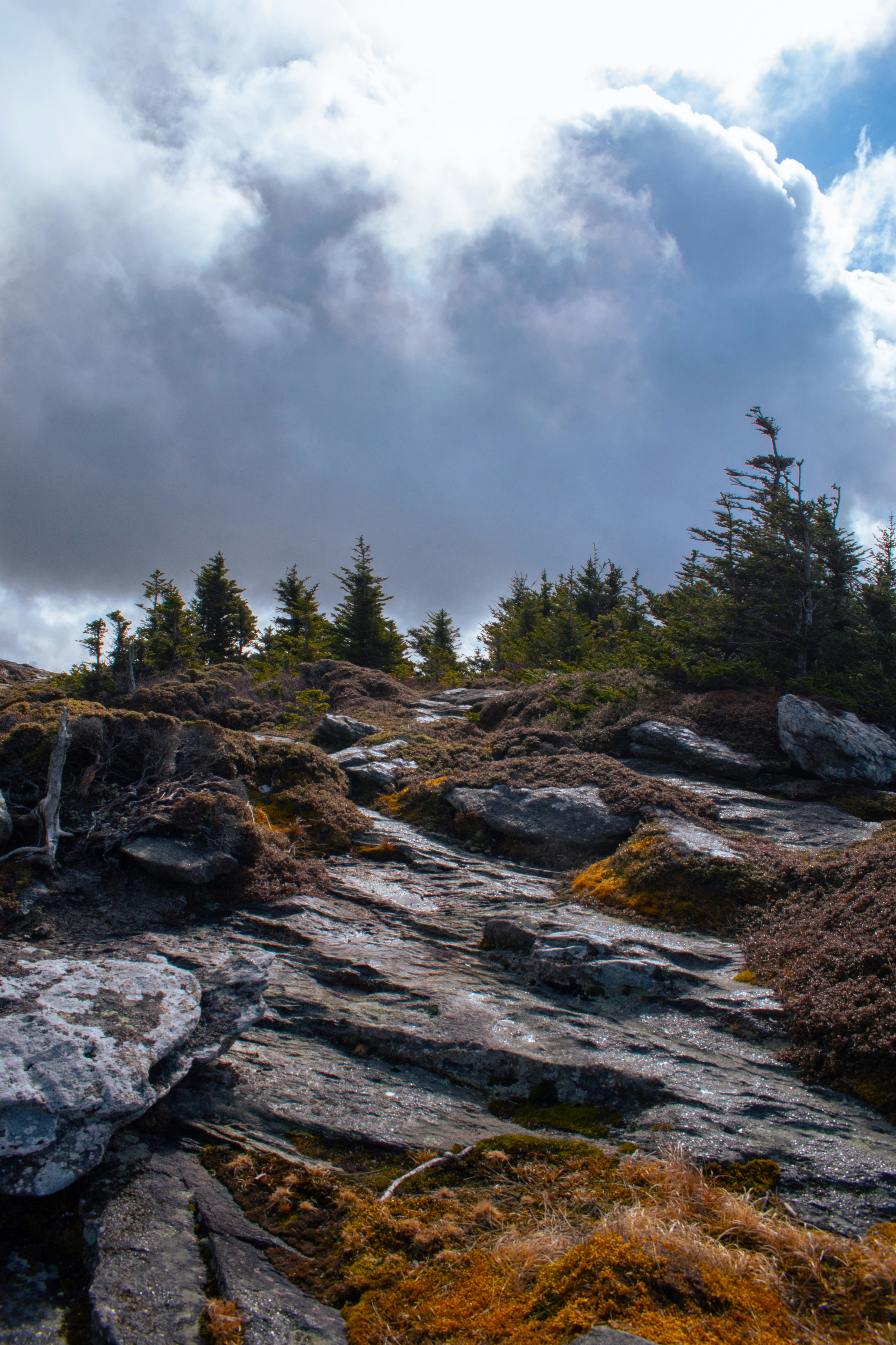 Sentier des Rocheuses avec des arbres à feuilles persistantes sous les nuages