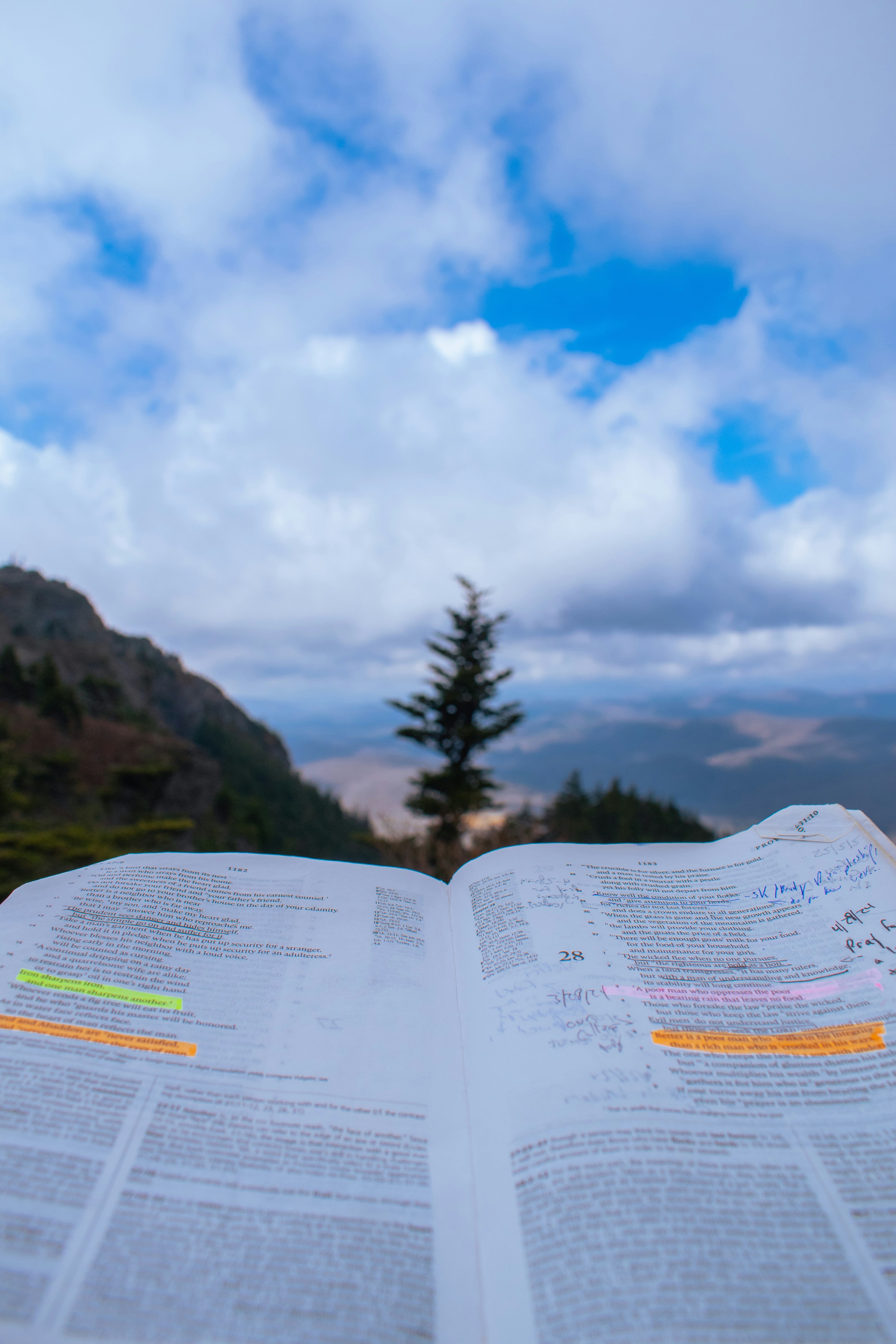 Offenes Buch mit markiertem Text auf dem Hintergrund der Berglandschaft