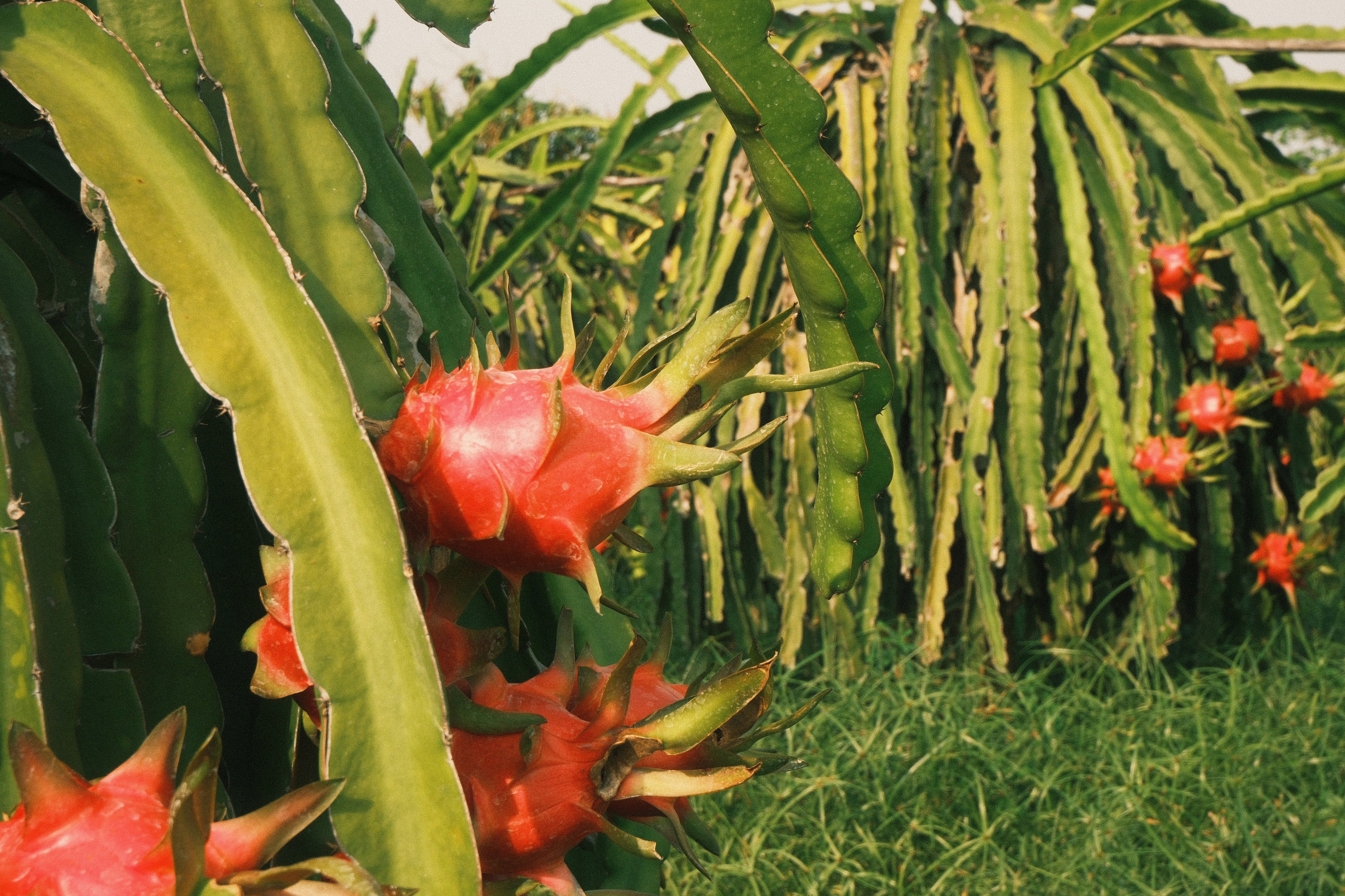 Photo by natalienpngoc