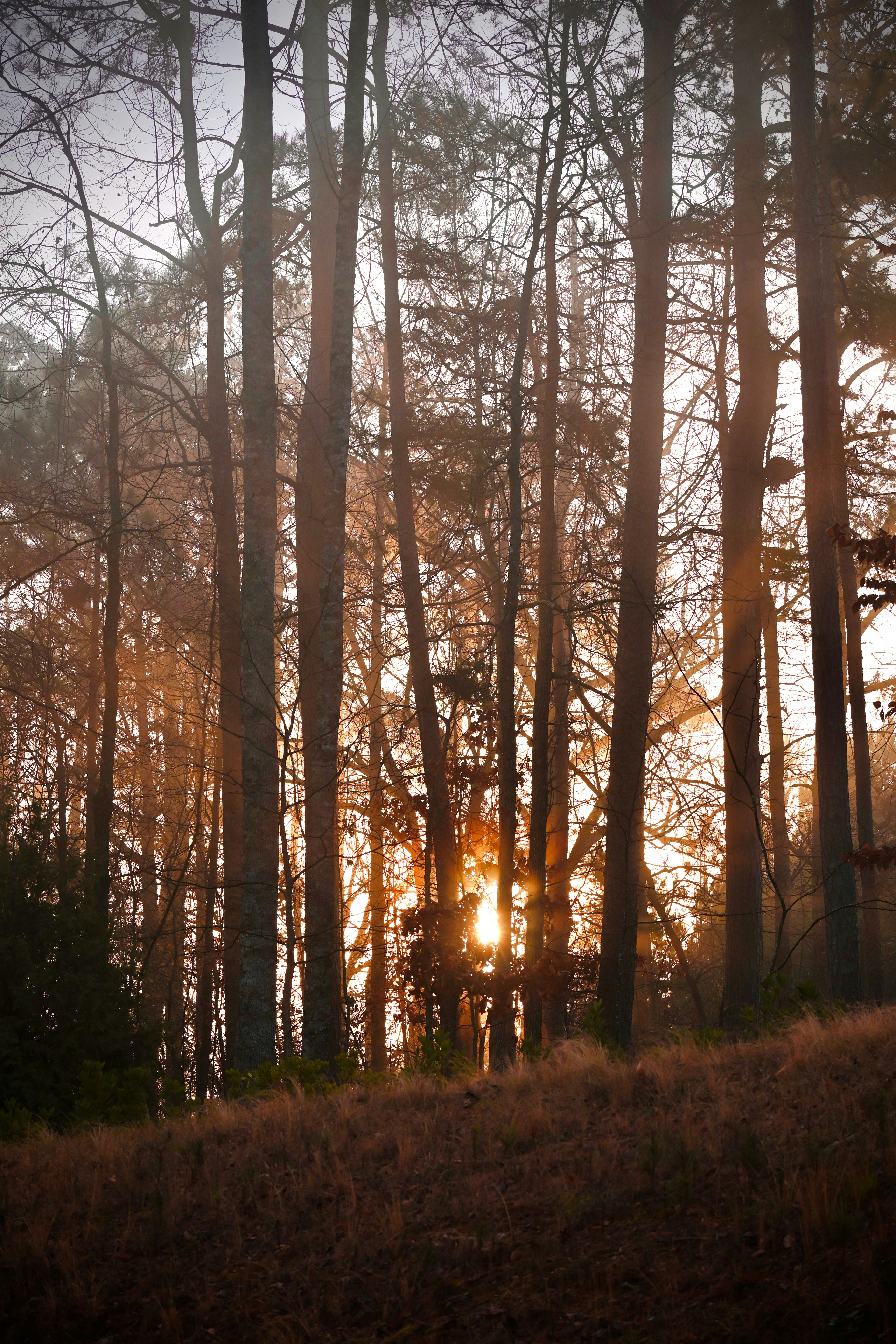 Photo by vijetha_surakanti