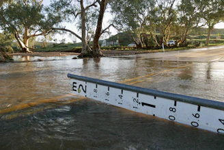 A water level gauge in a flooded creek