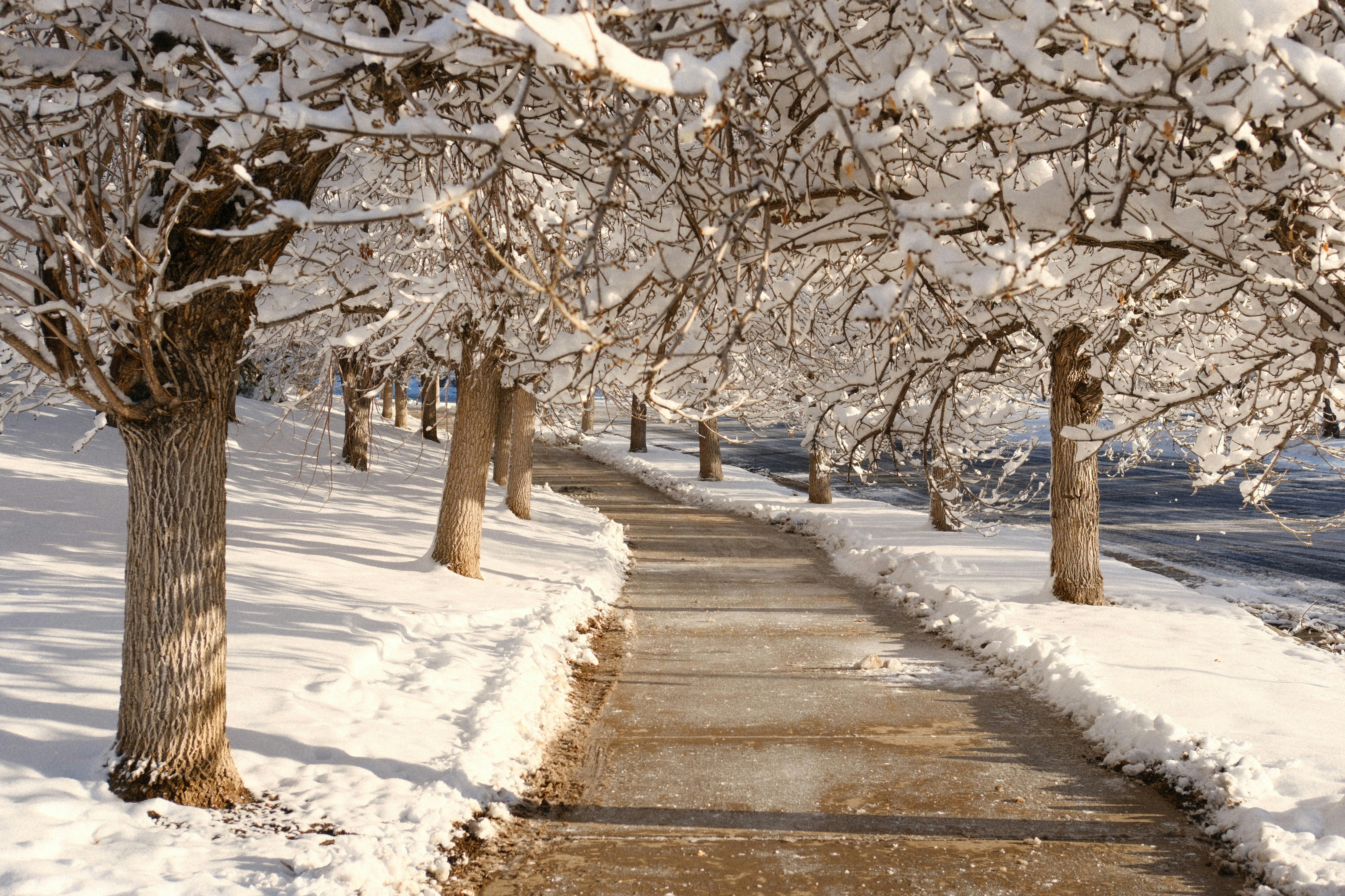 Photo by brockettmac