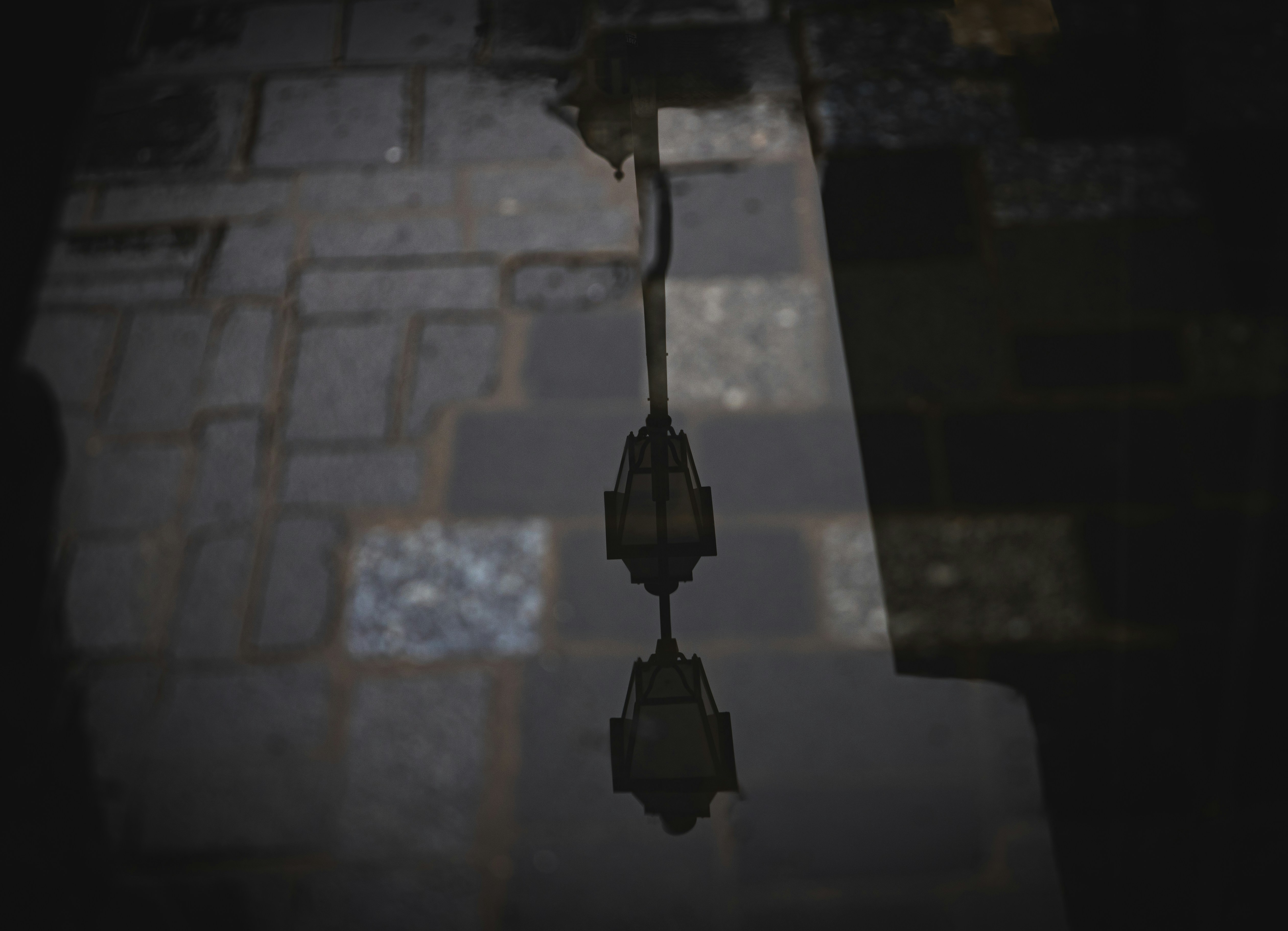 Photo by britosebastian