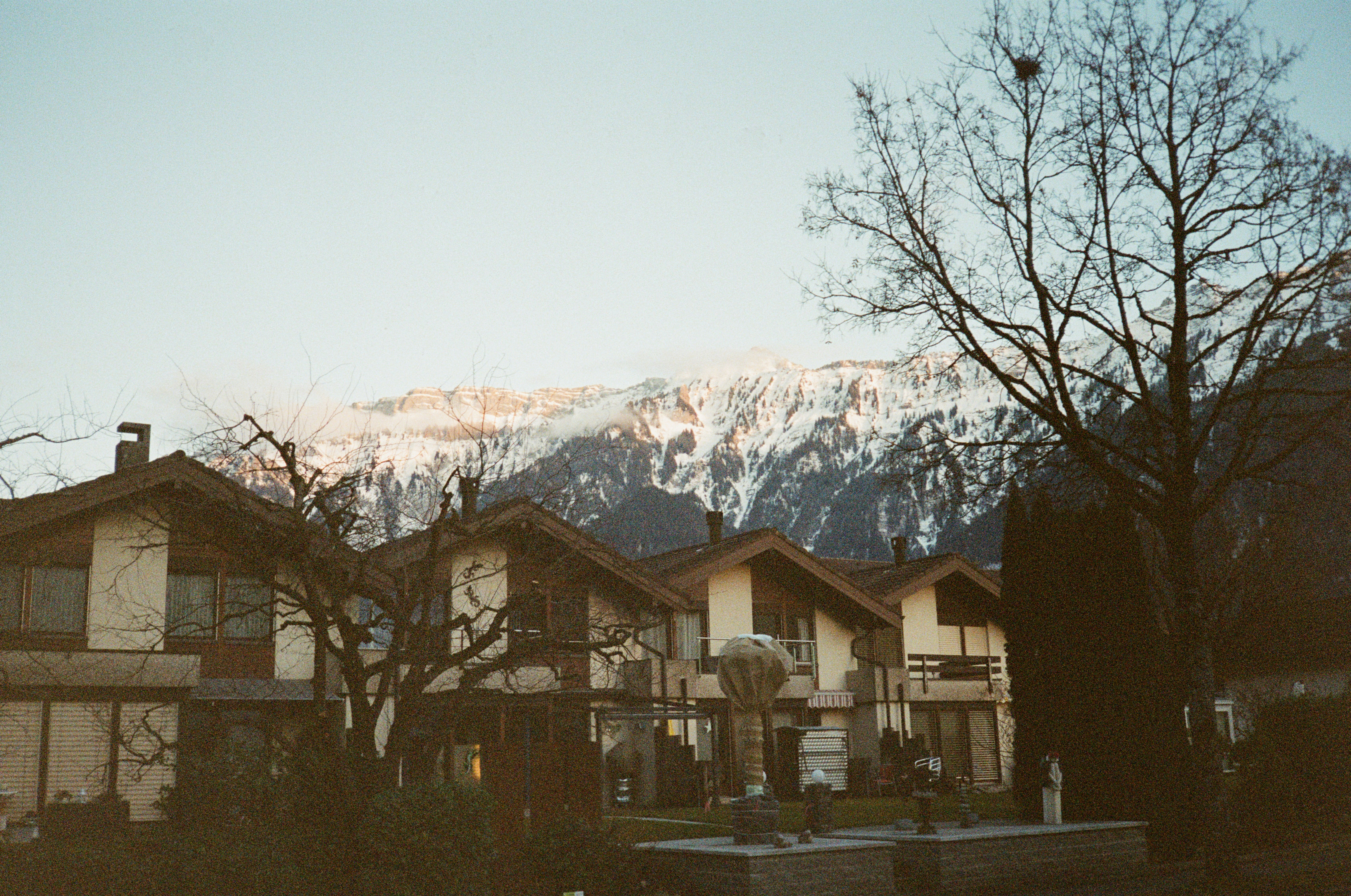 Row of houses with snow-capped mountains behind them.