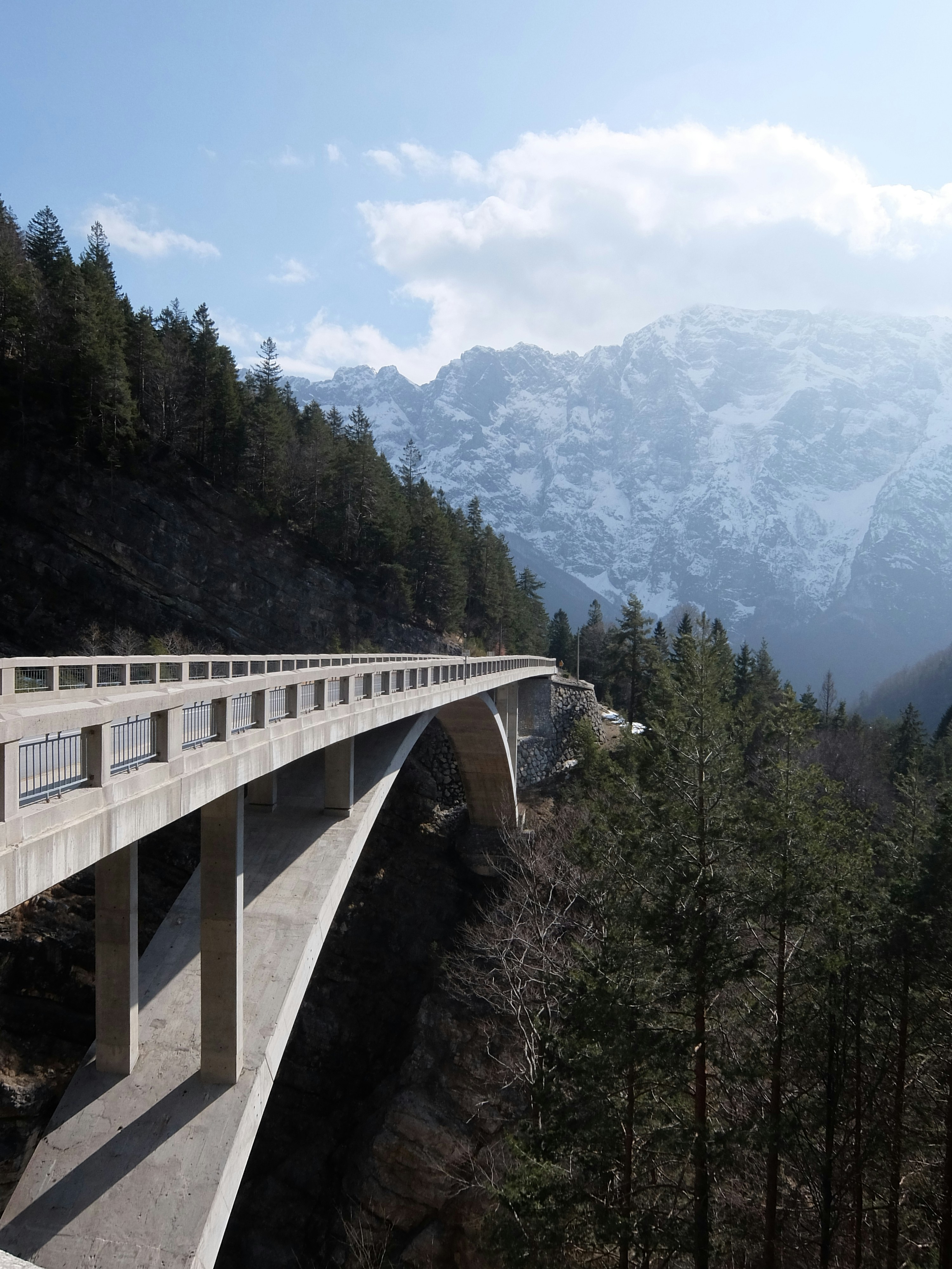 Photo by viktor_rejent