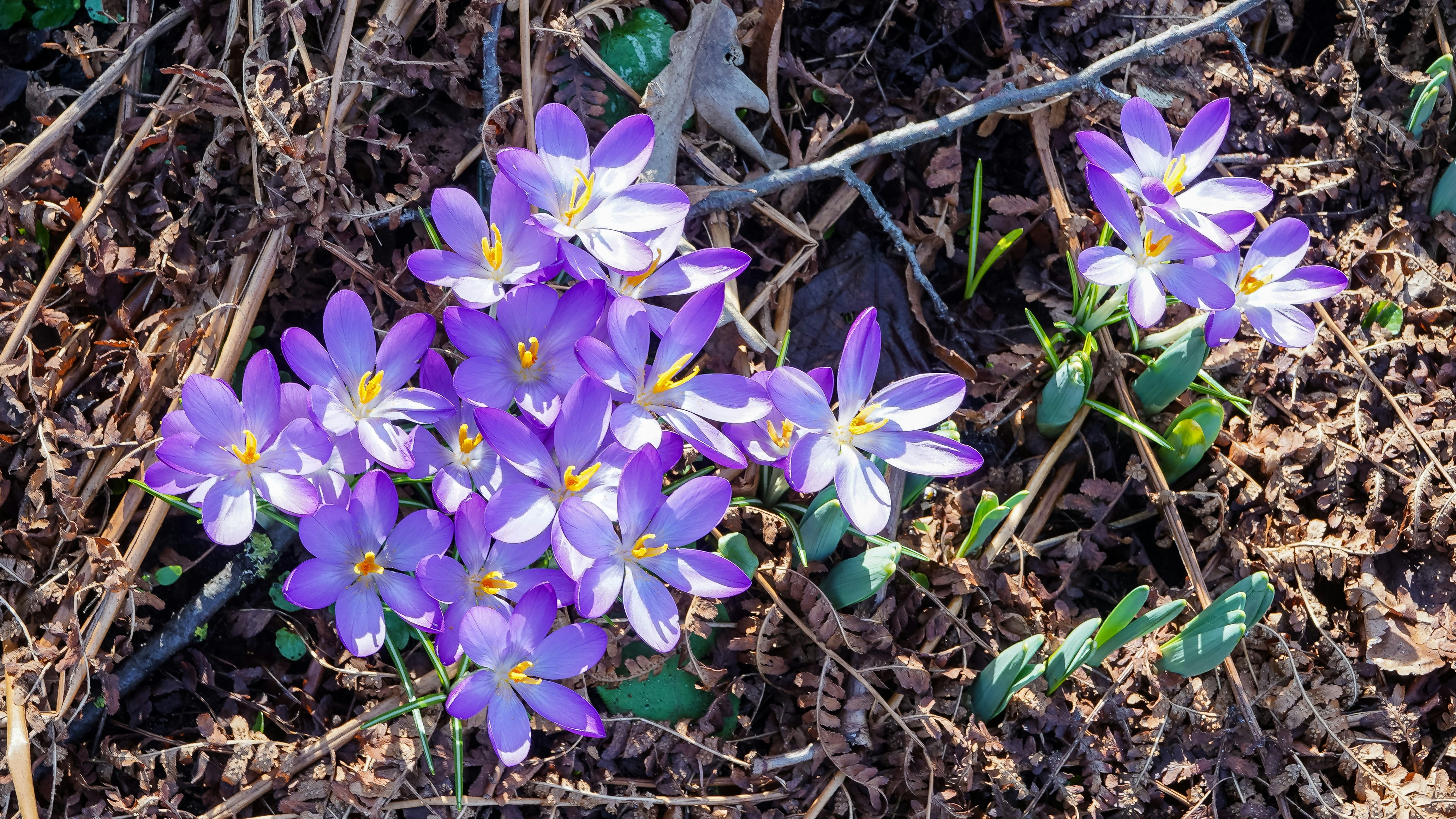 Photo by hamburgmeinefreundin