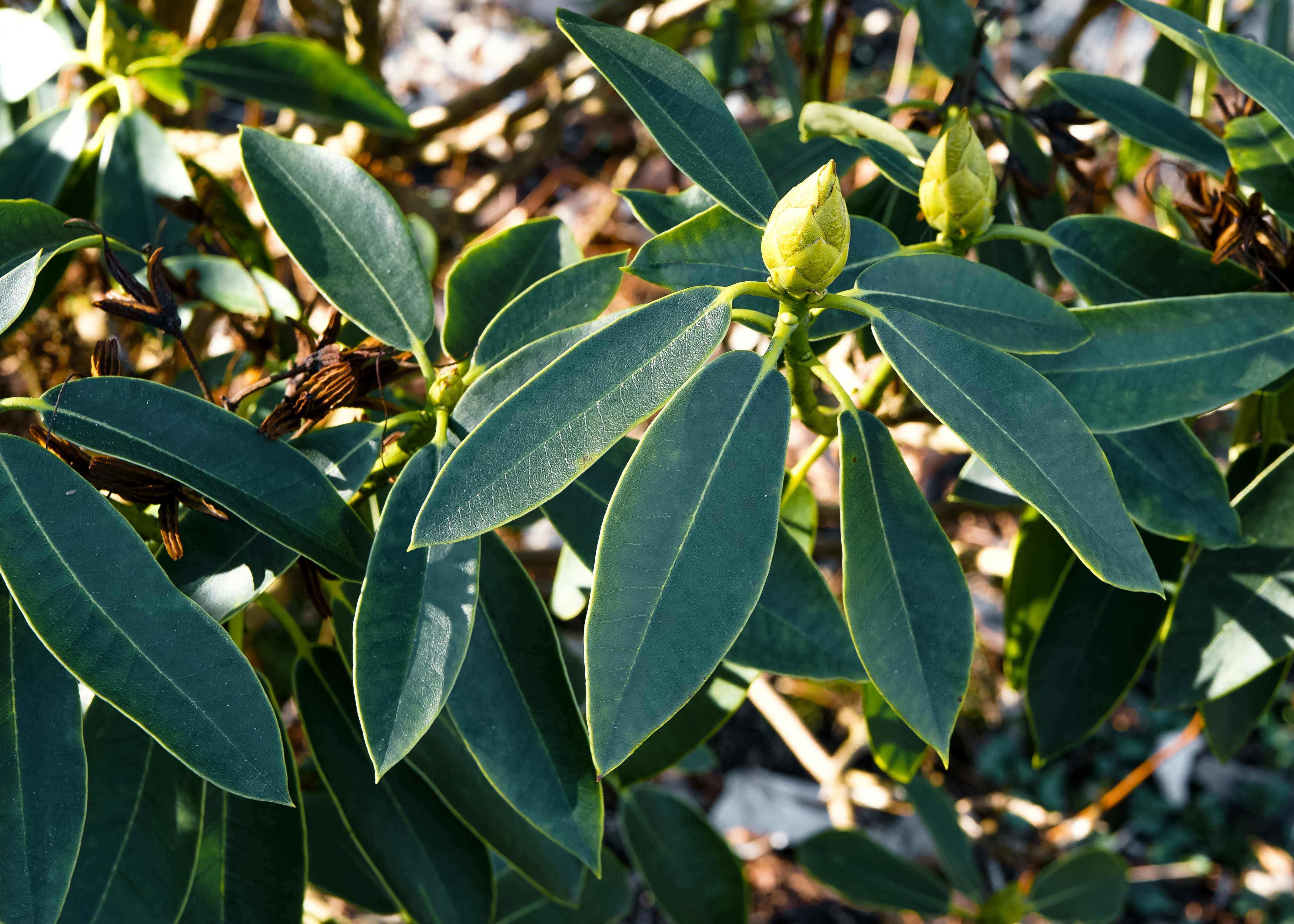 Photo by hamburgmeinefreundin