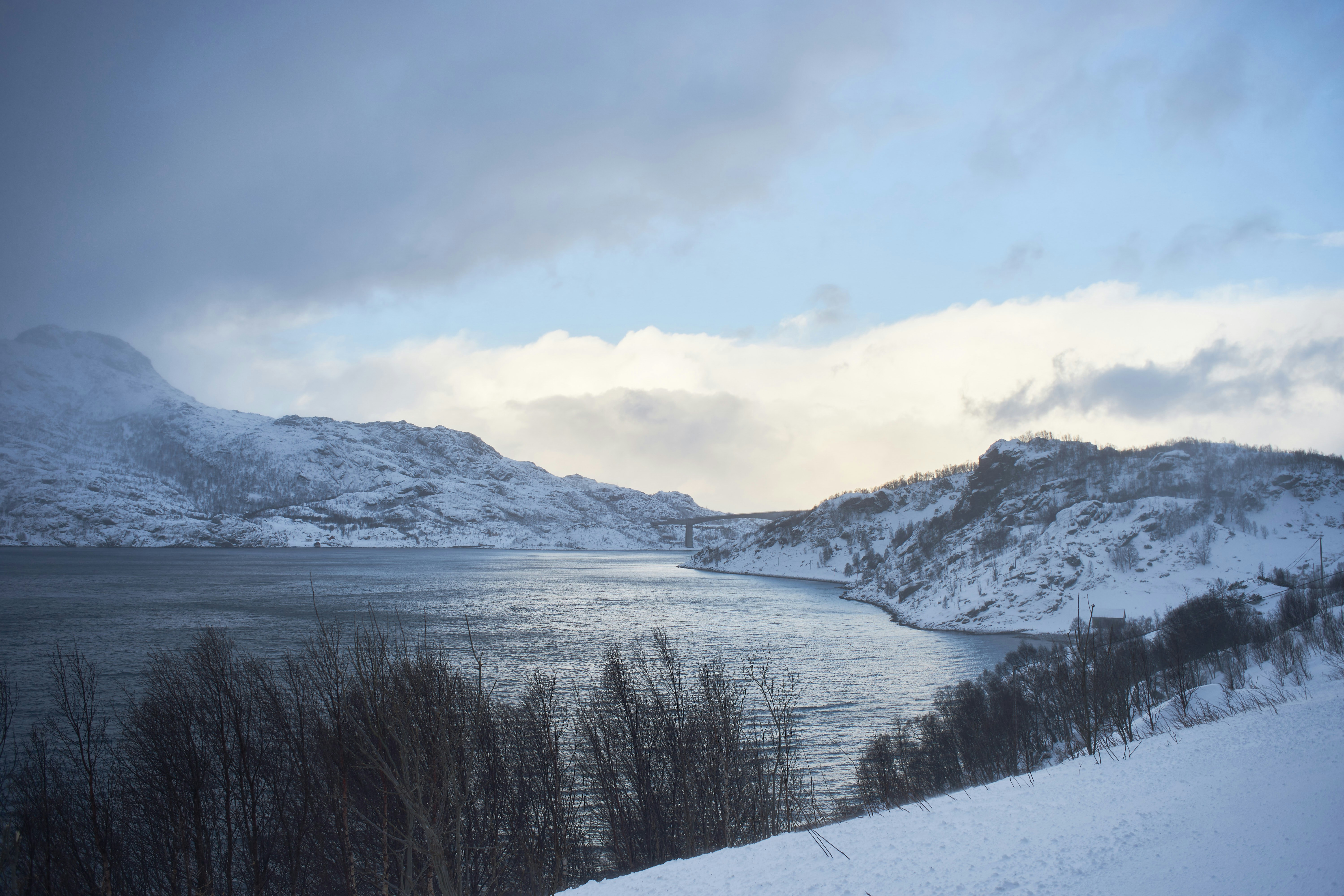 Photo by wolfgang_hasselmann