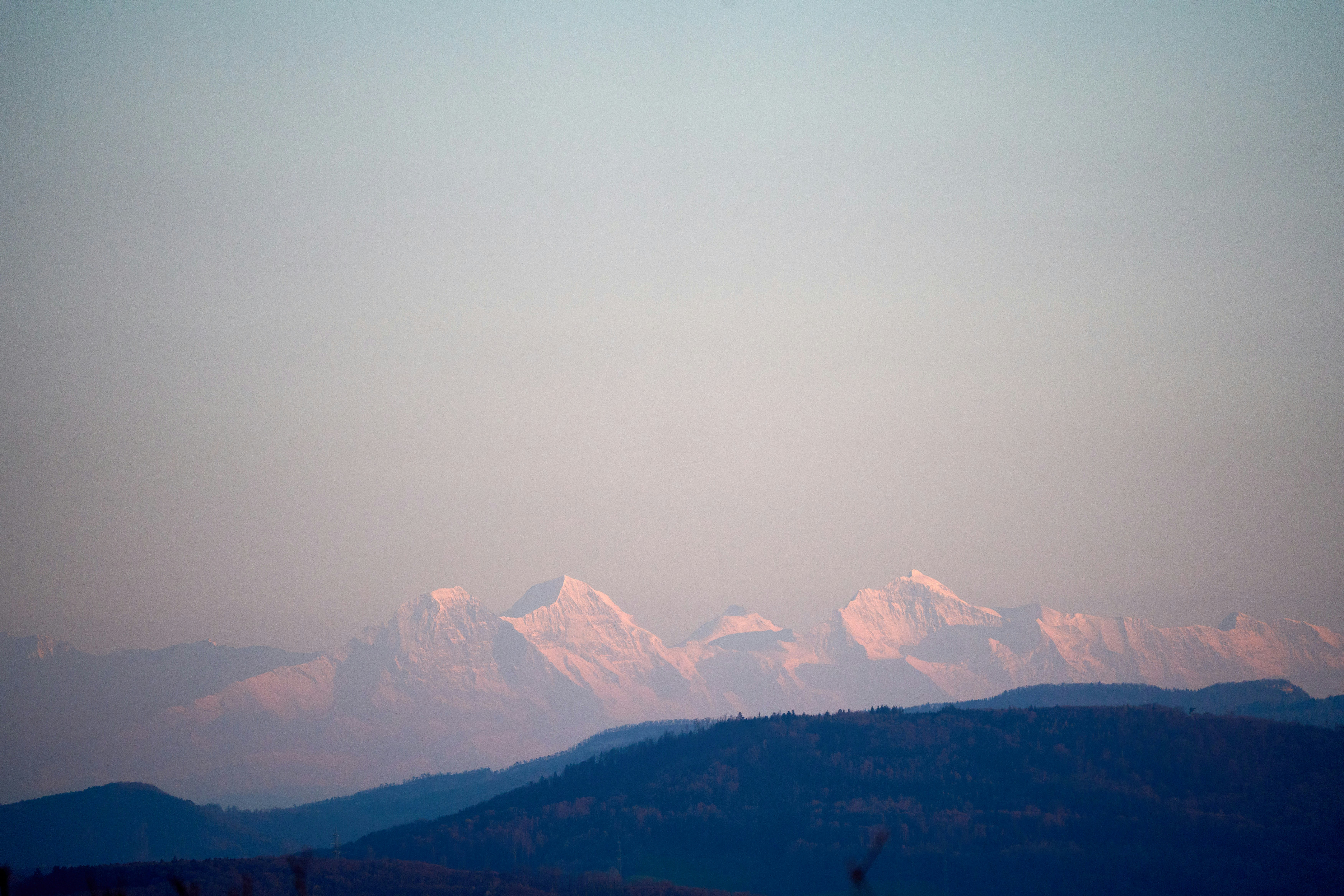 Photo by wolfgang_hasselmann