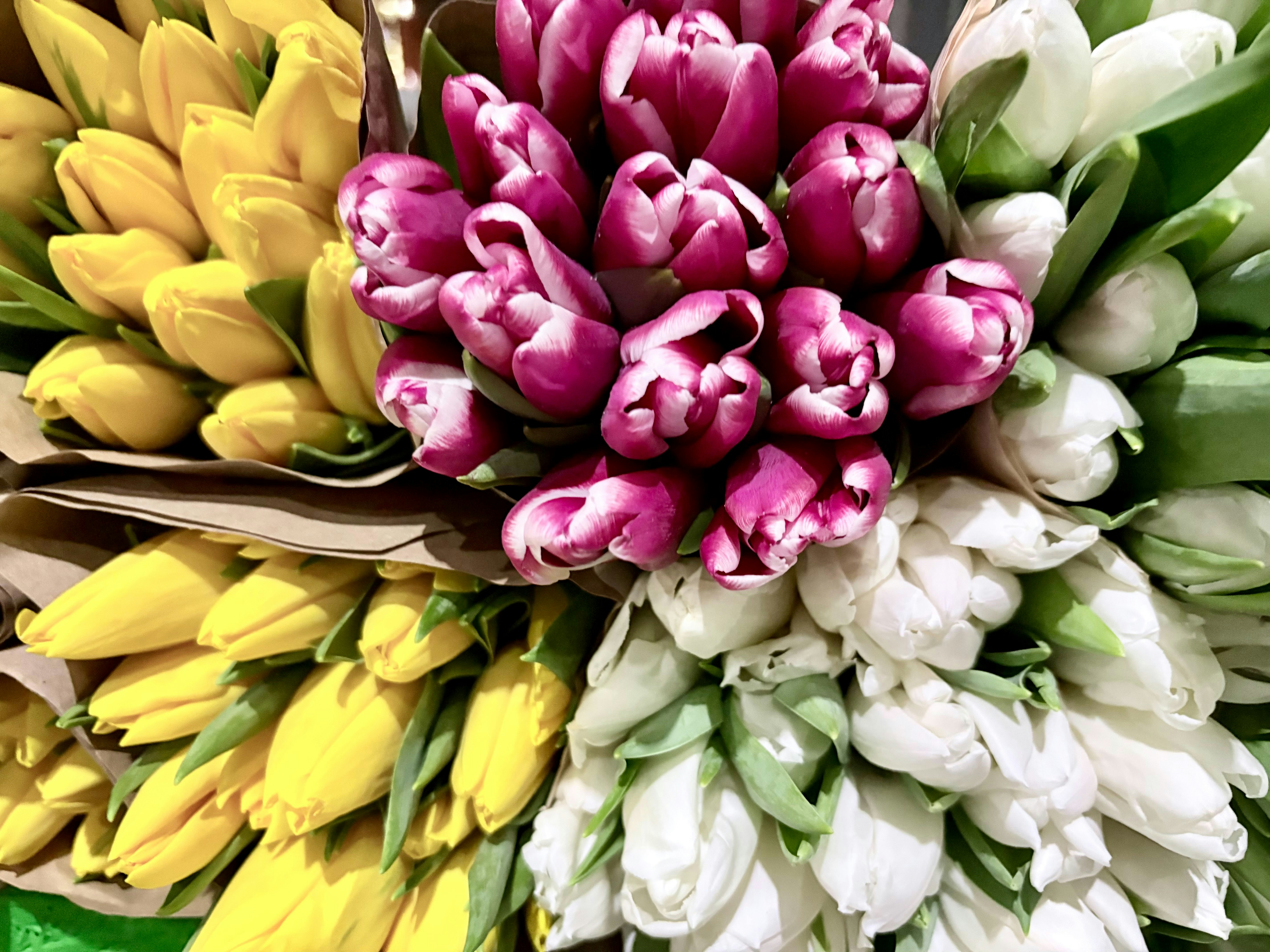 Bunches of yellow, pink, and white tulips.