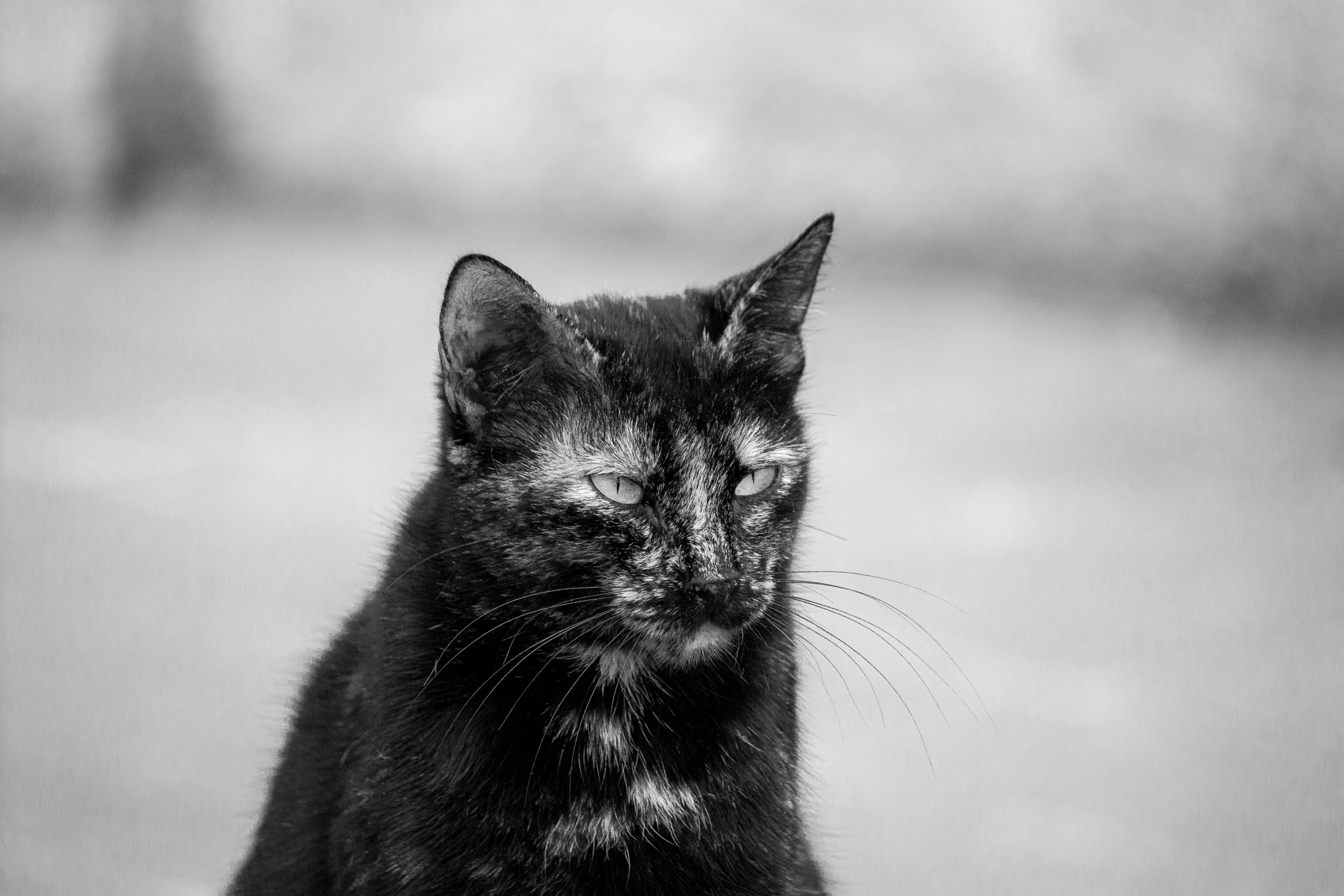 Photo by attilayener