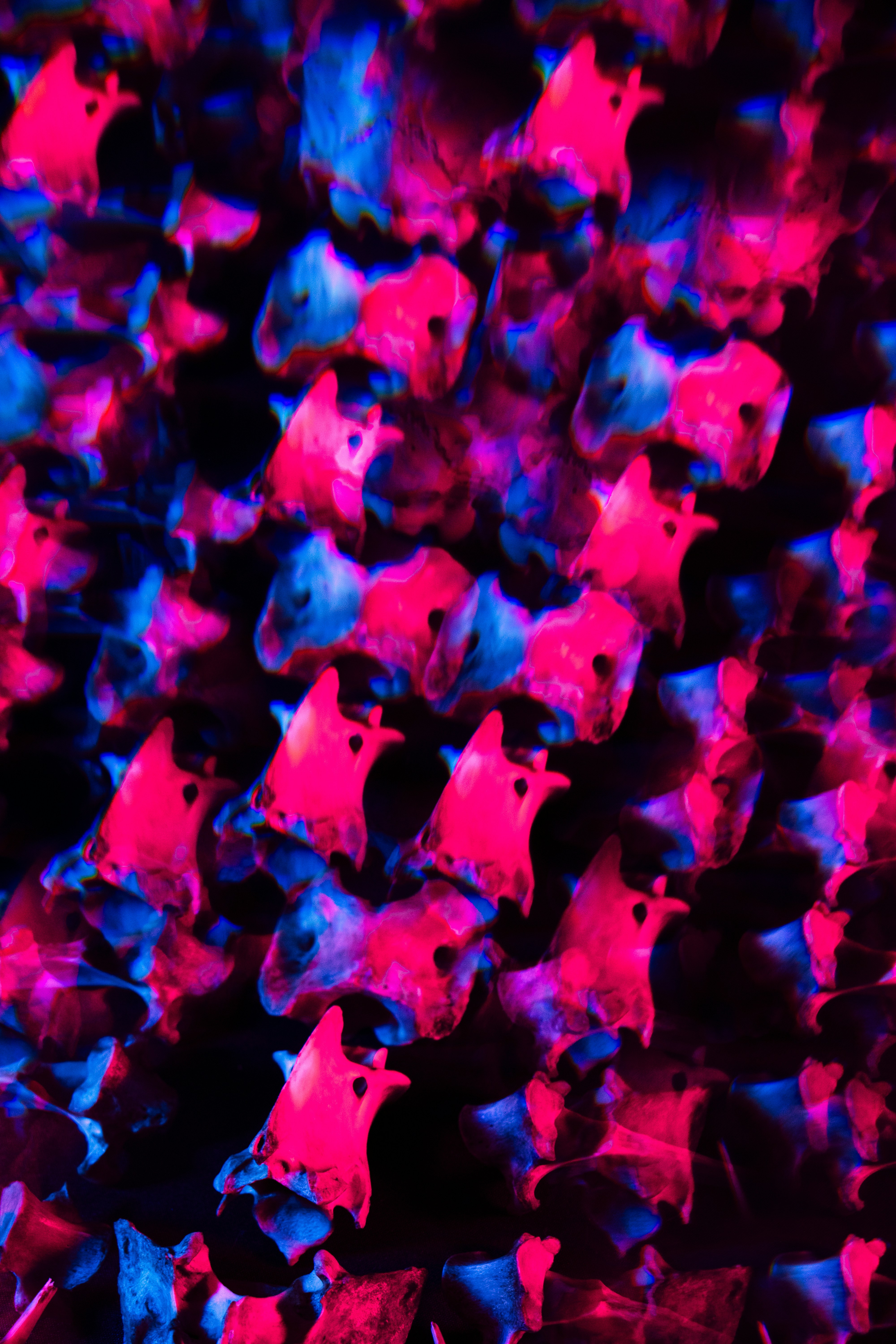 Photo by margagreta_96