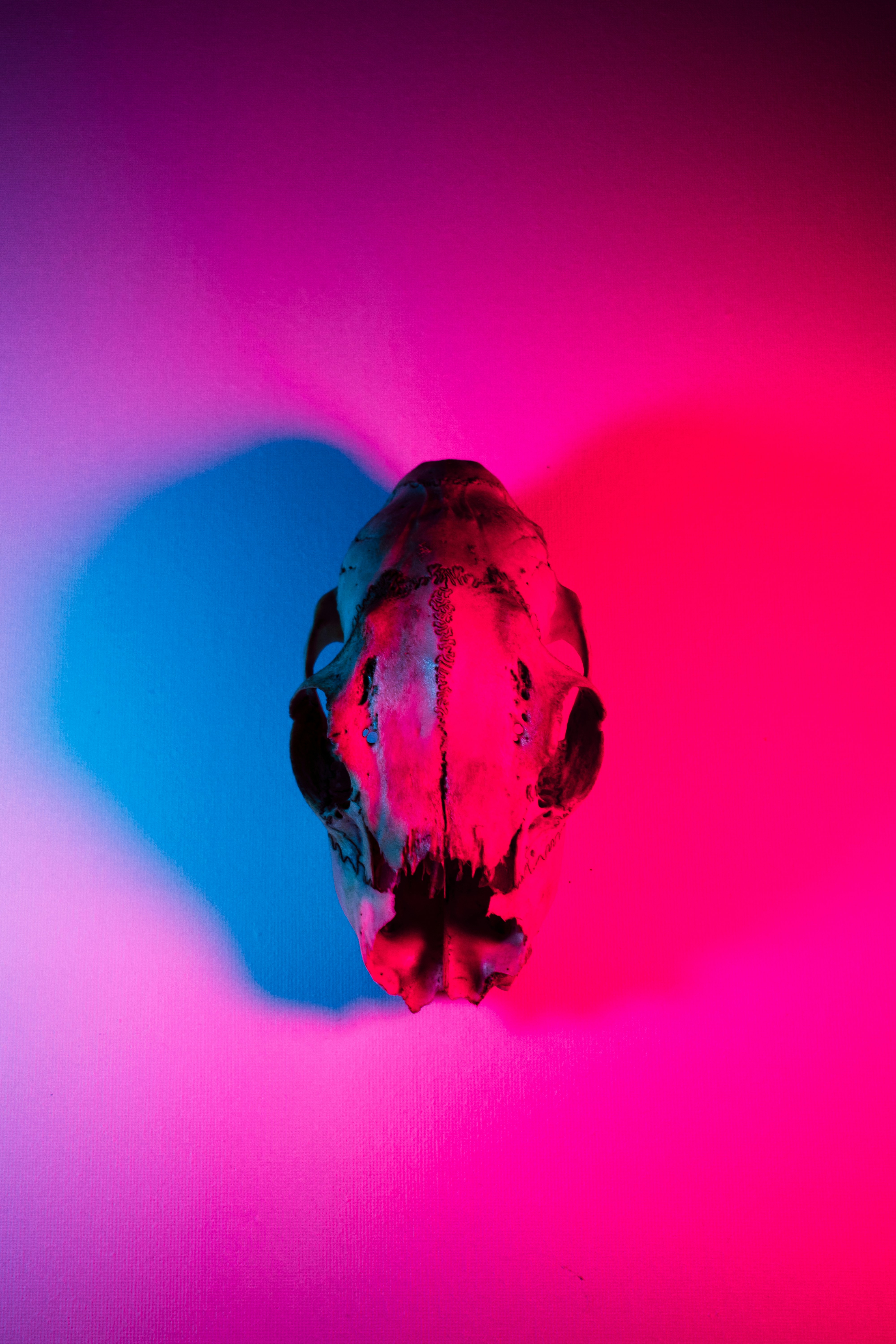 Photo by margagreta_96