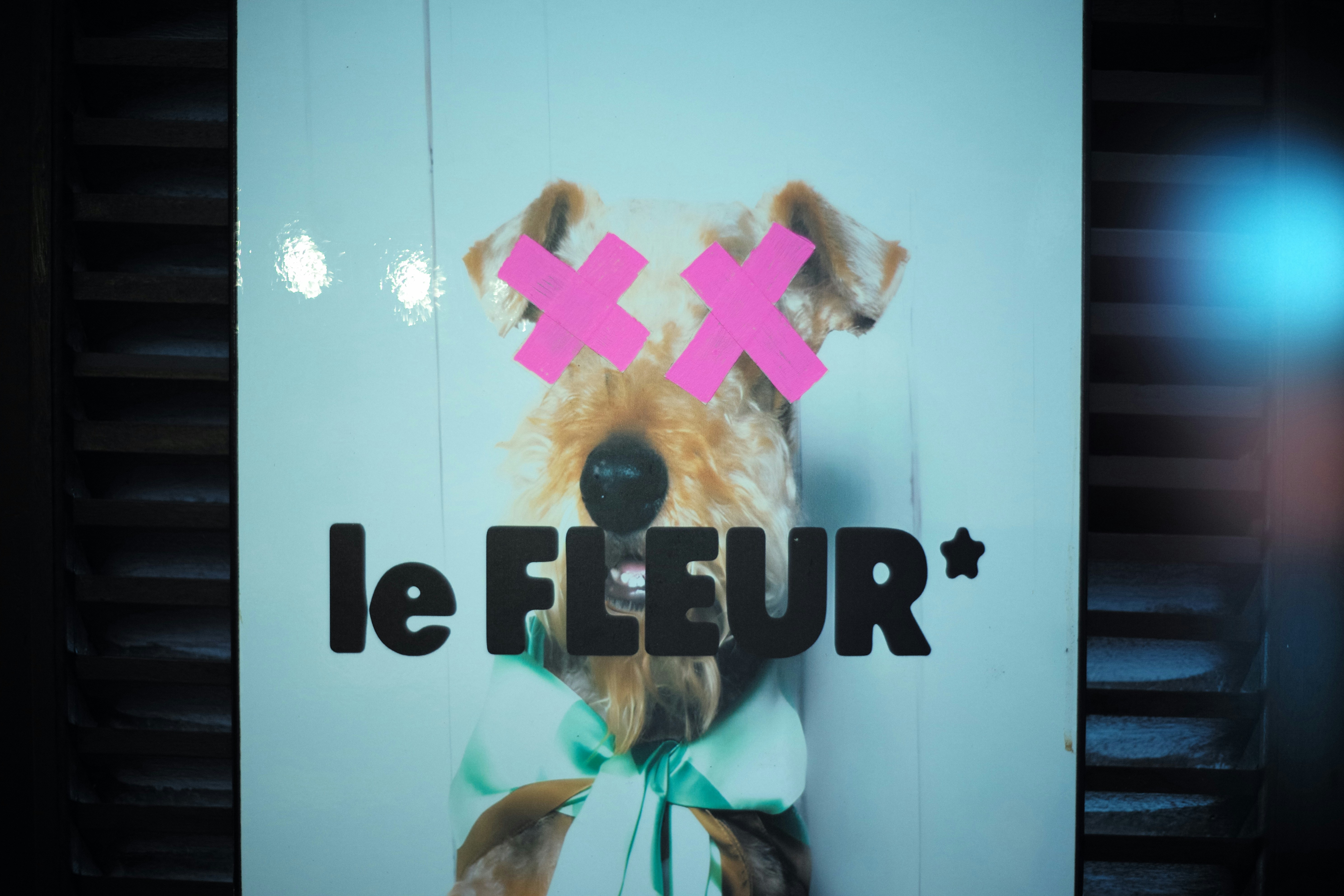 Cachorro com x's cor-de-rosa sobre os olhos e texto "le fleur".
