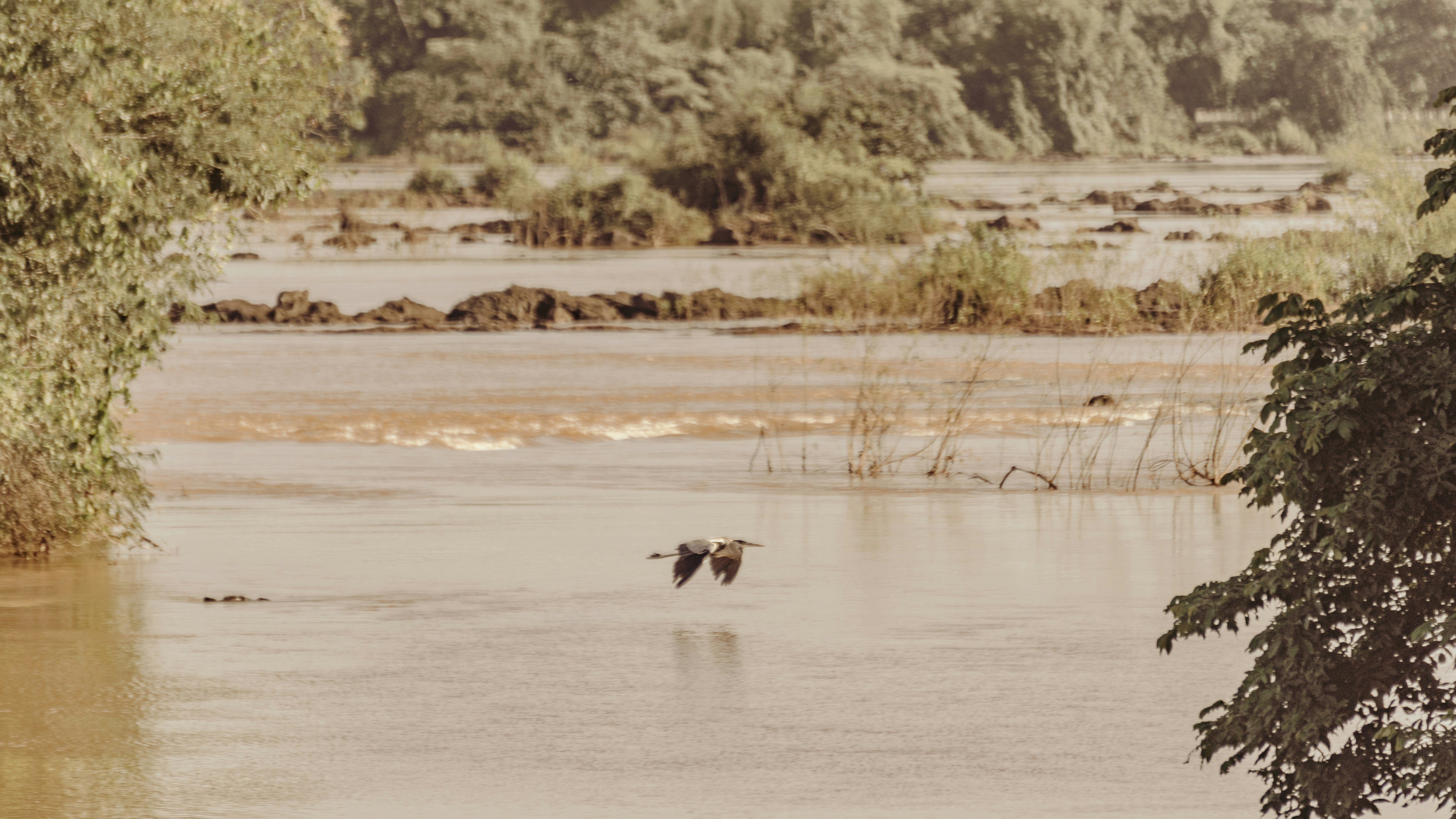 Photo by whereiskylenow