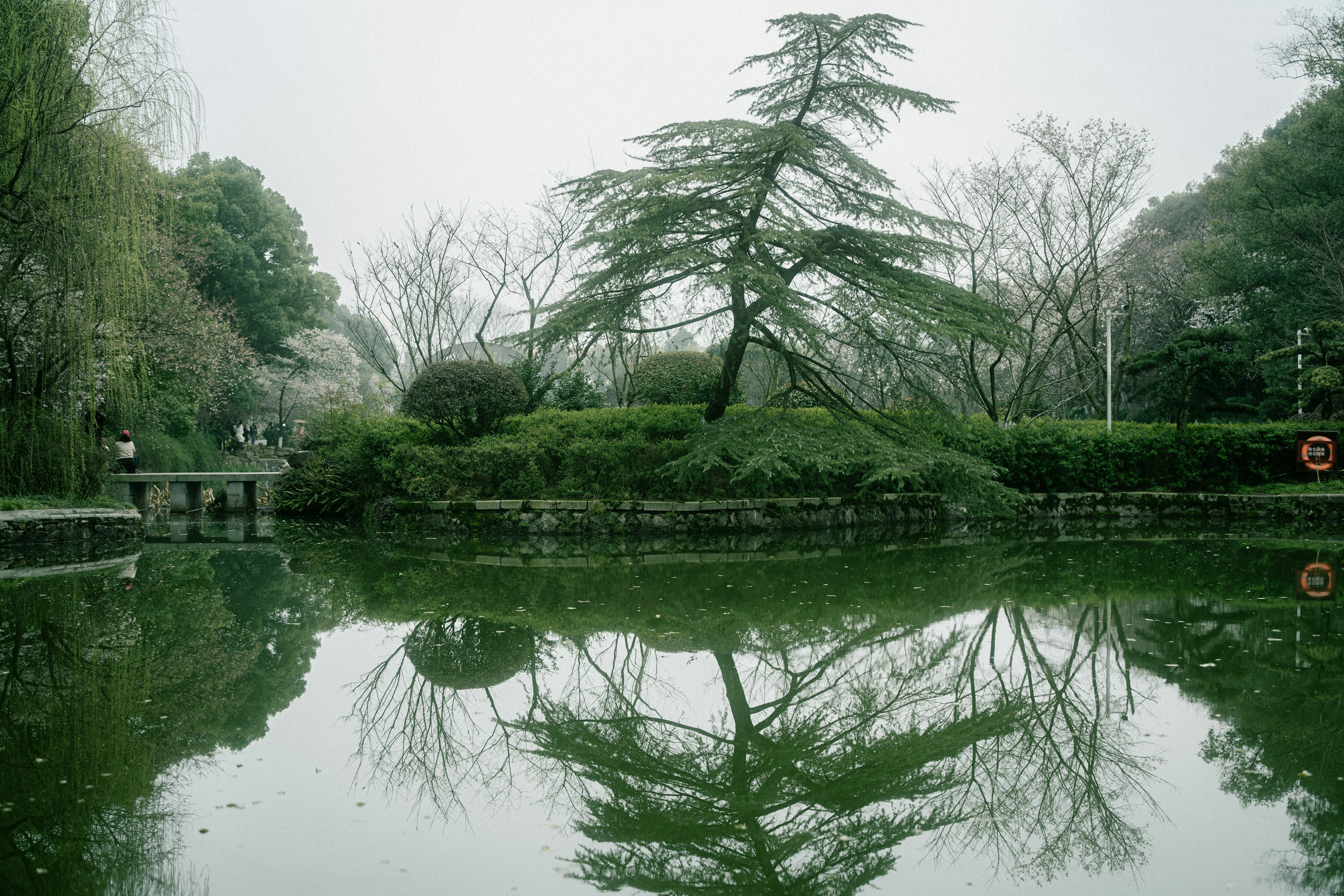 A still pond perfectly reflecting surrounding trees, evoking quiet inner knowing
