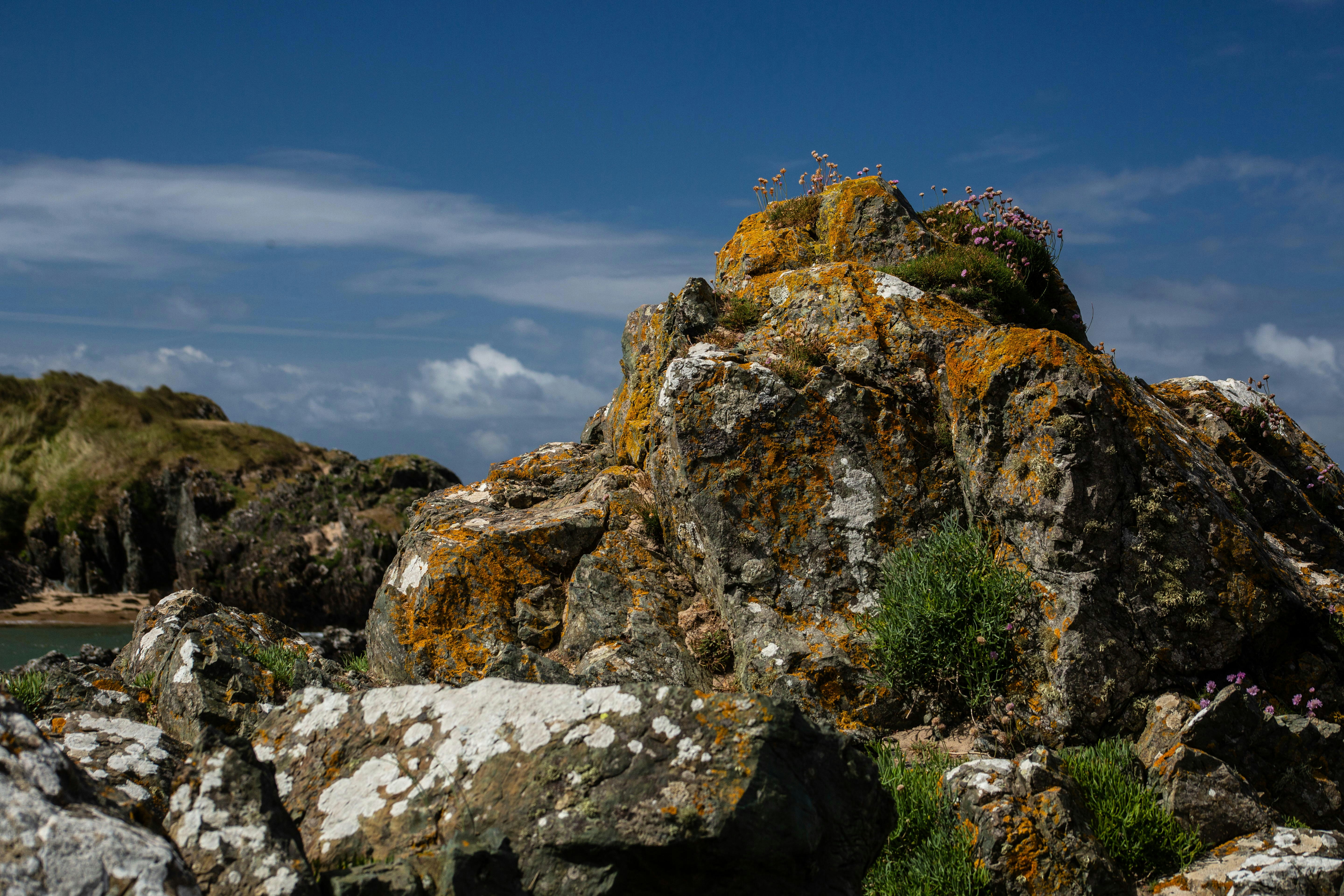 Photo by danielsturleyphotography