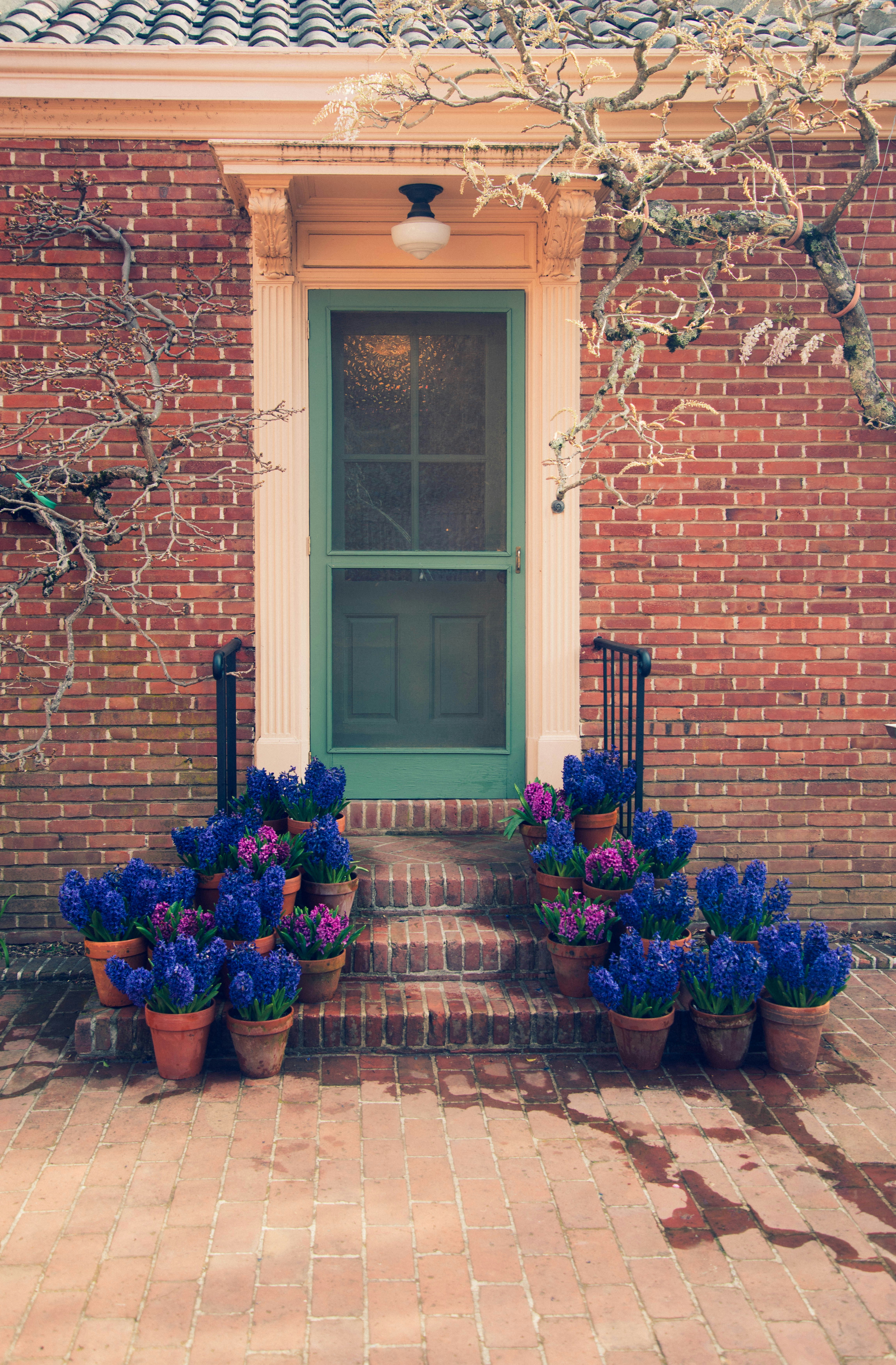 Stufen, die mit blauen und violetten Blumen geschmückt sind