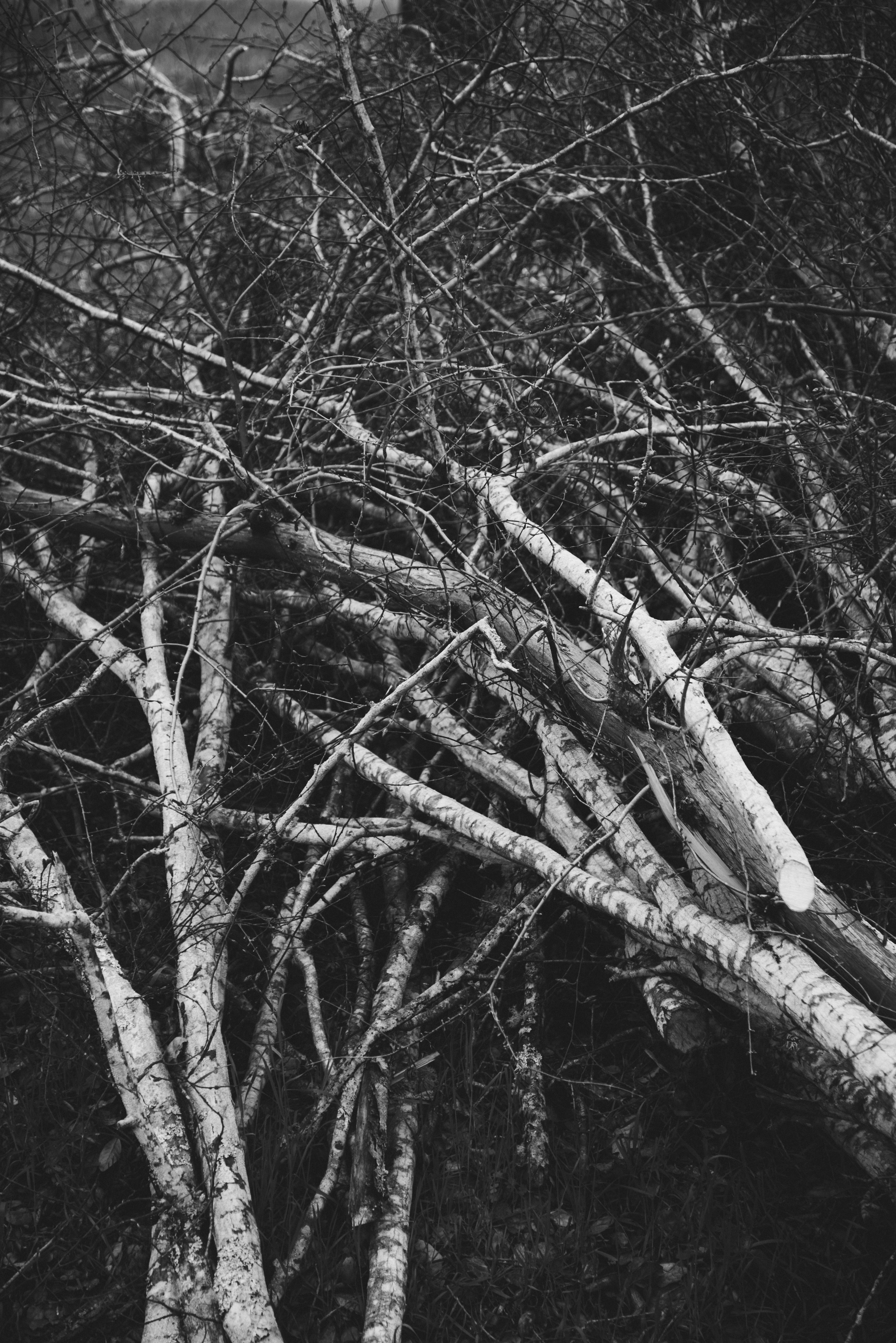 Photo by mary_schultz