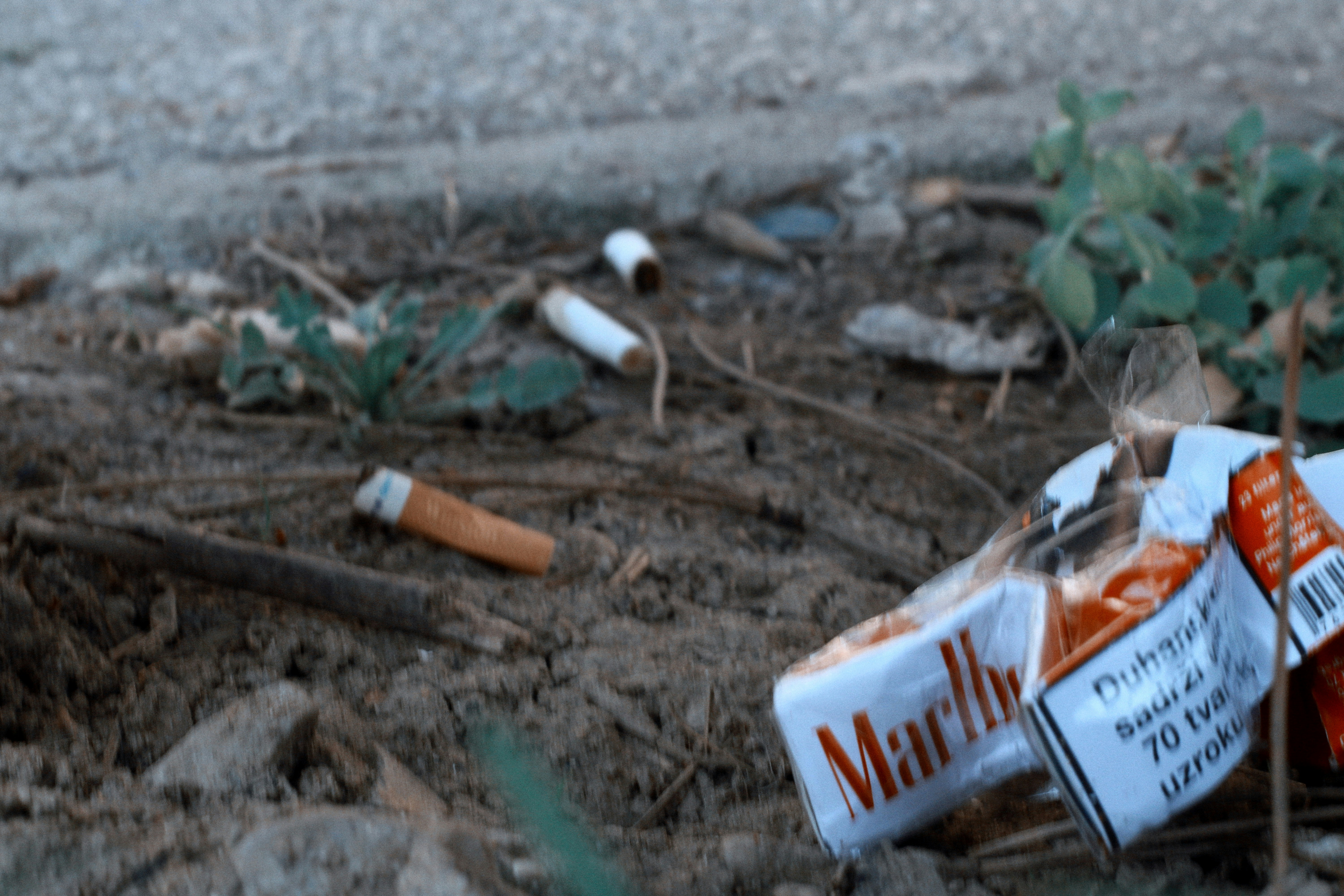 Des mégots de cigarette et un paquet de marlboro par terre.