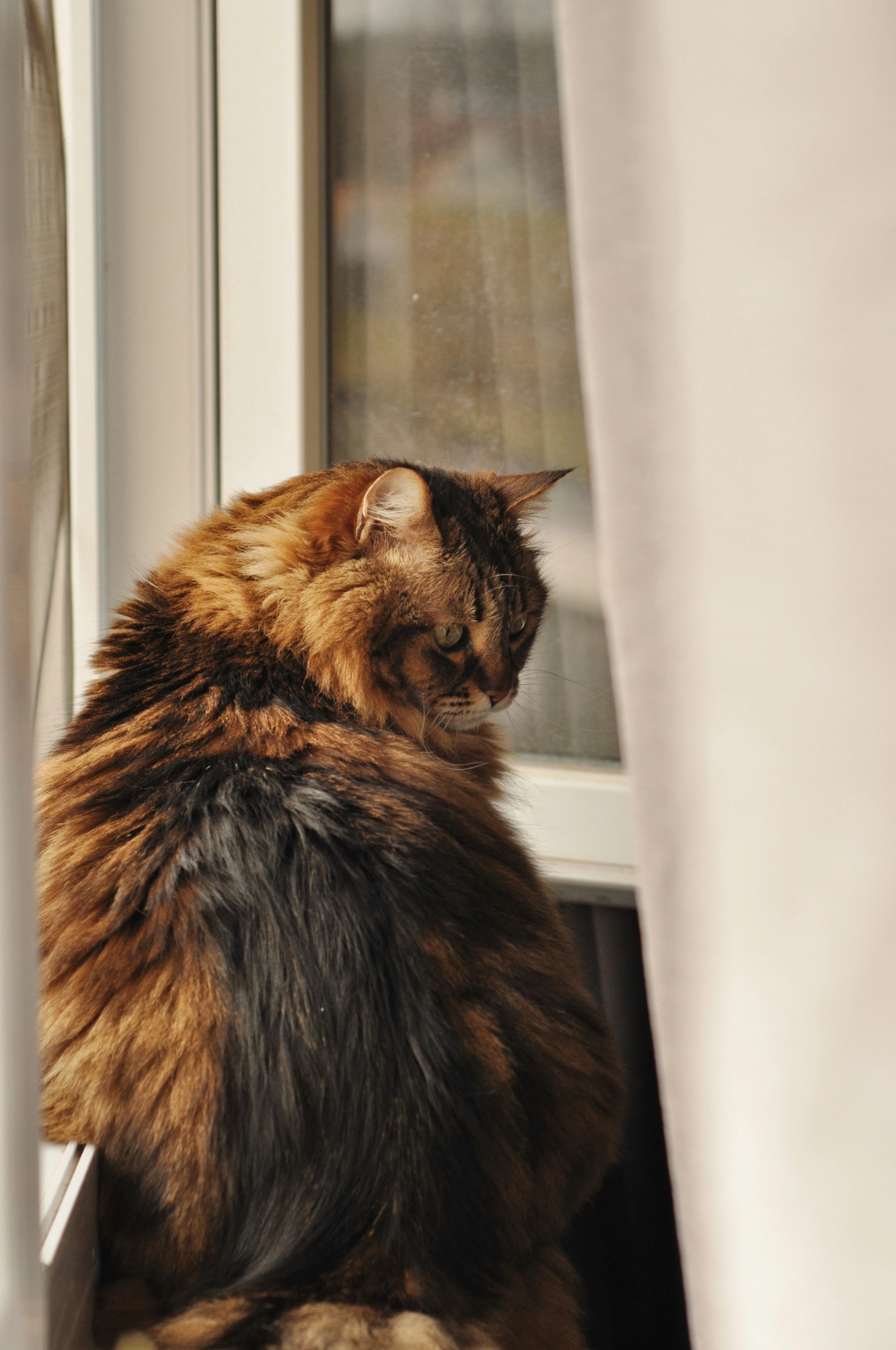 Photo by gorchinska88