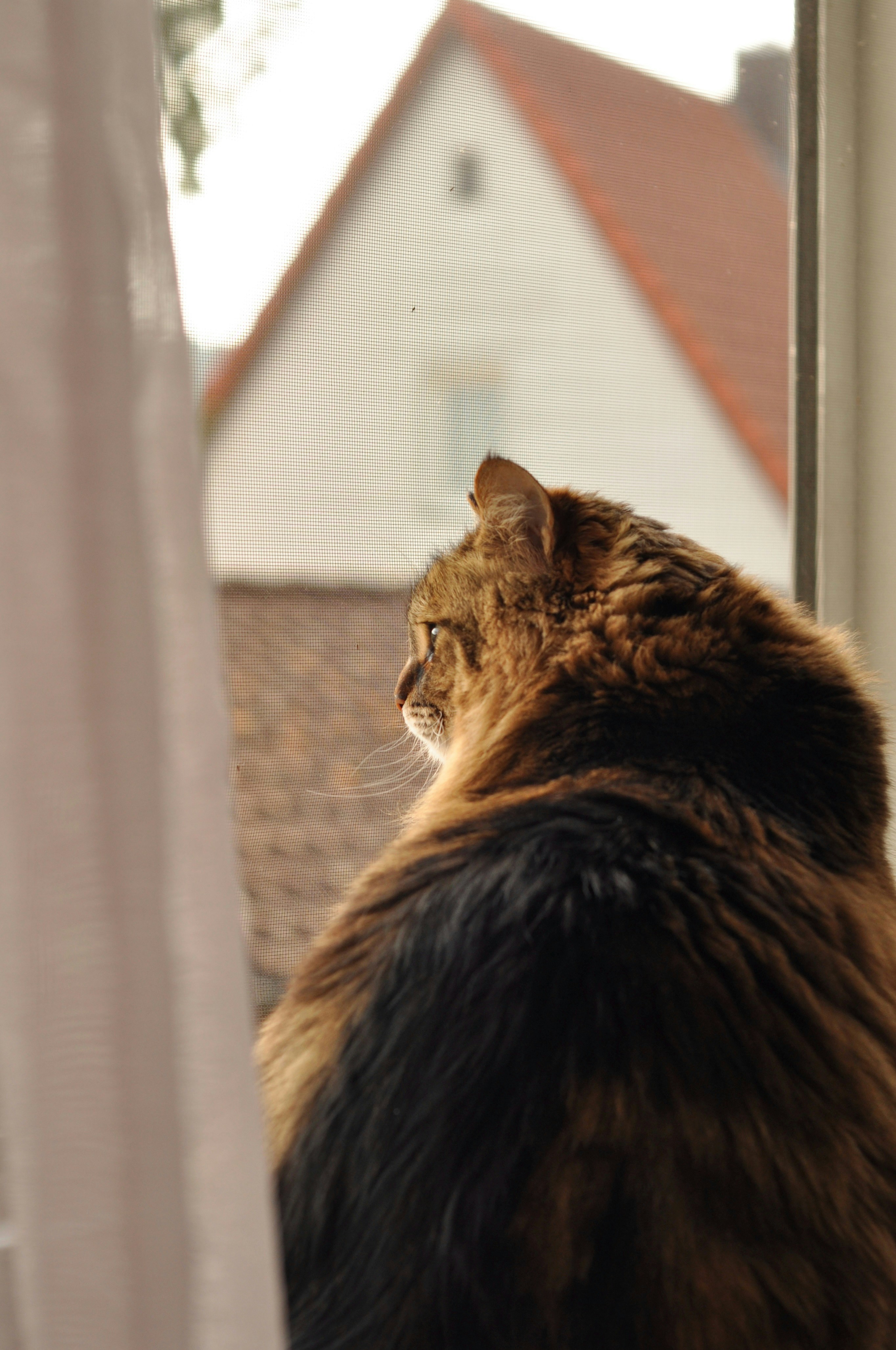 Photo by gorchinska88