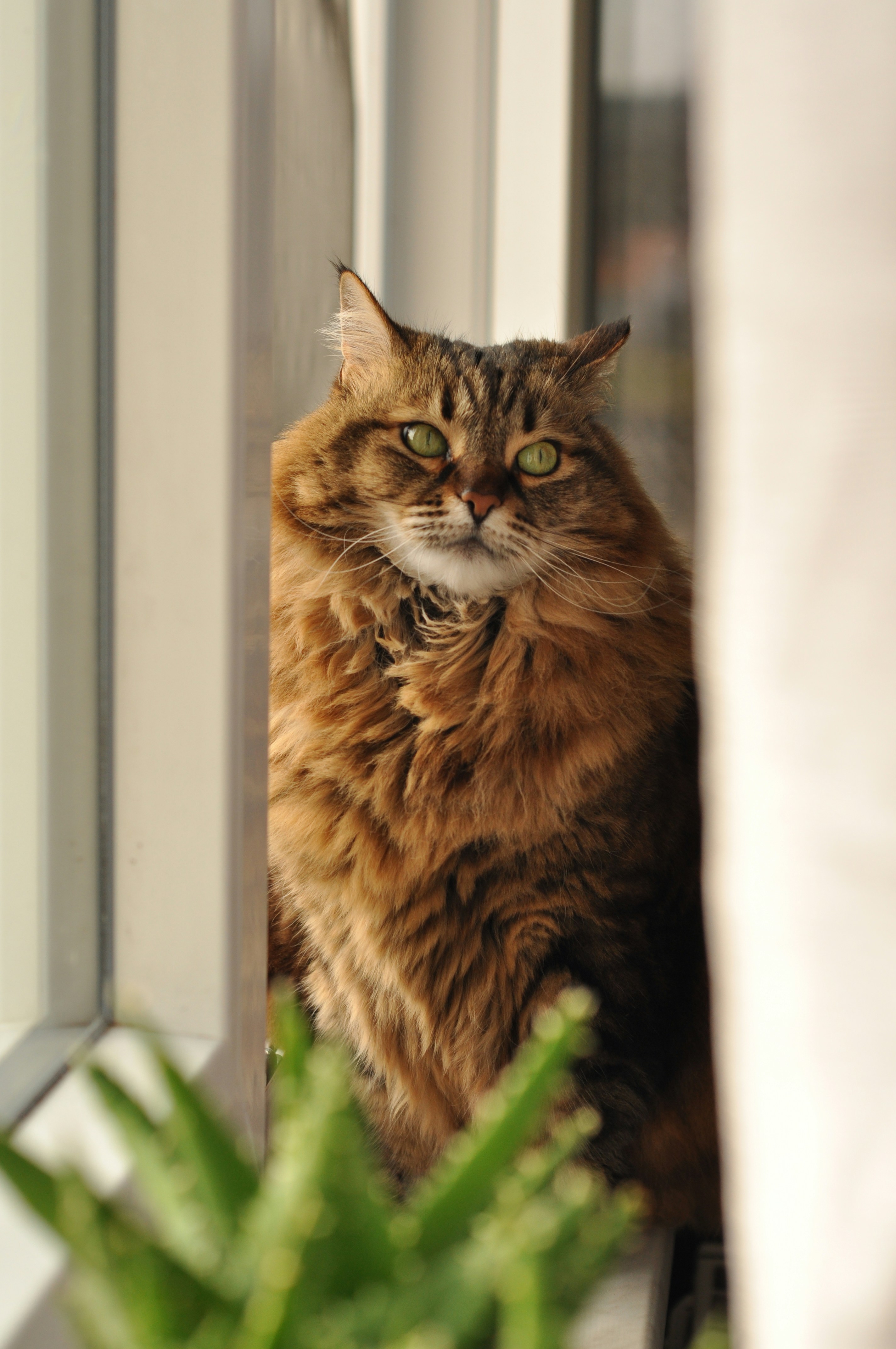 Photo by gorchinska88