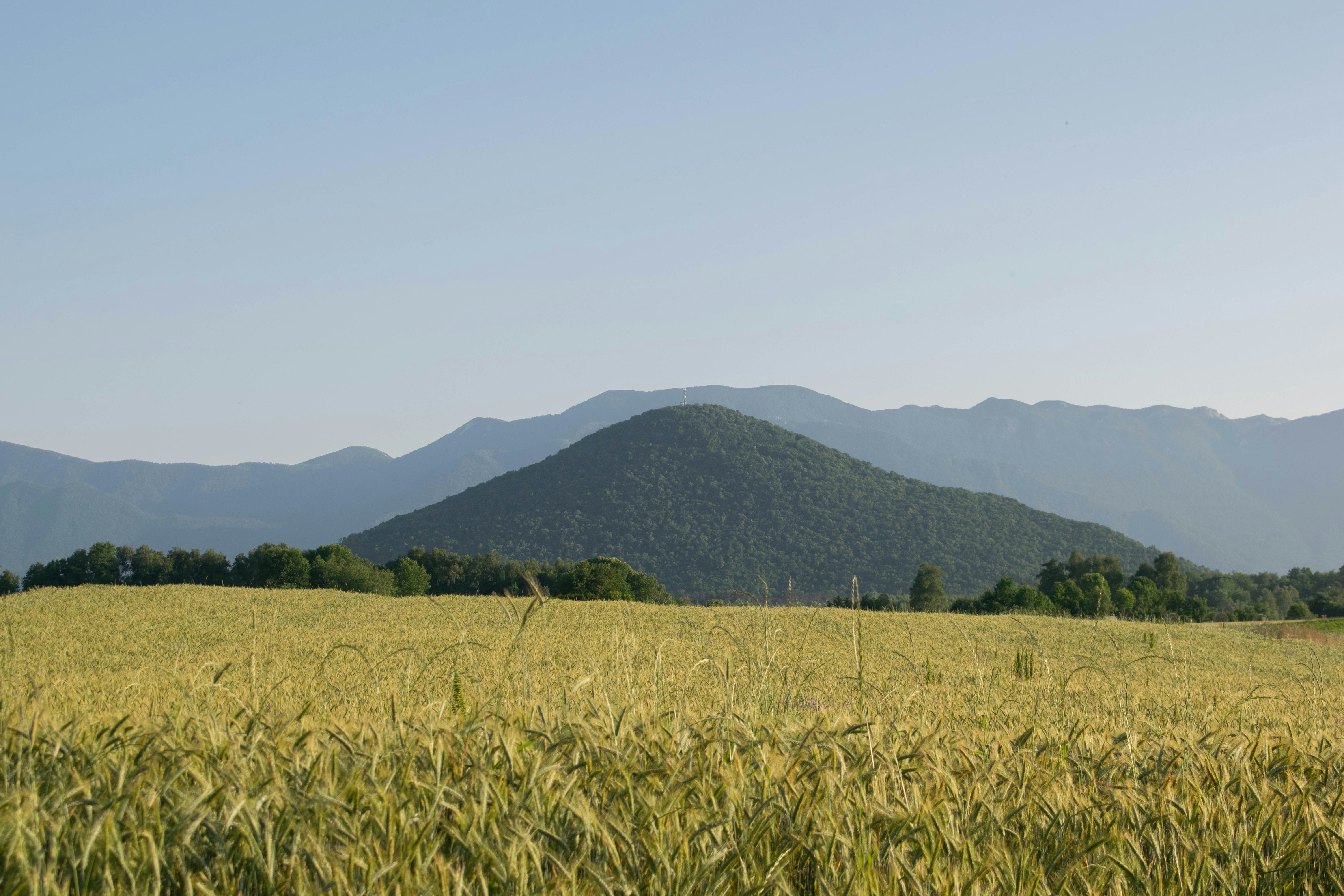 Photo by alexandre13