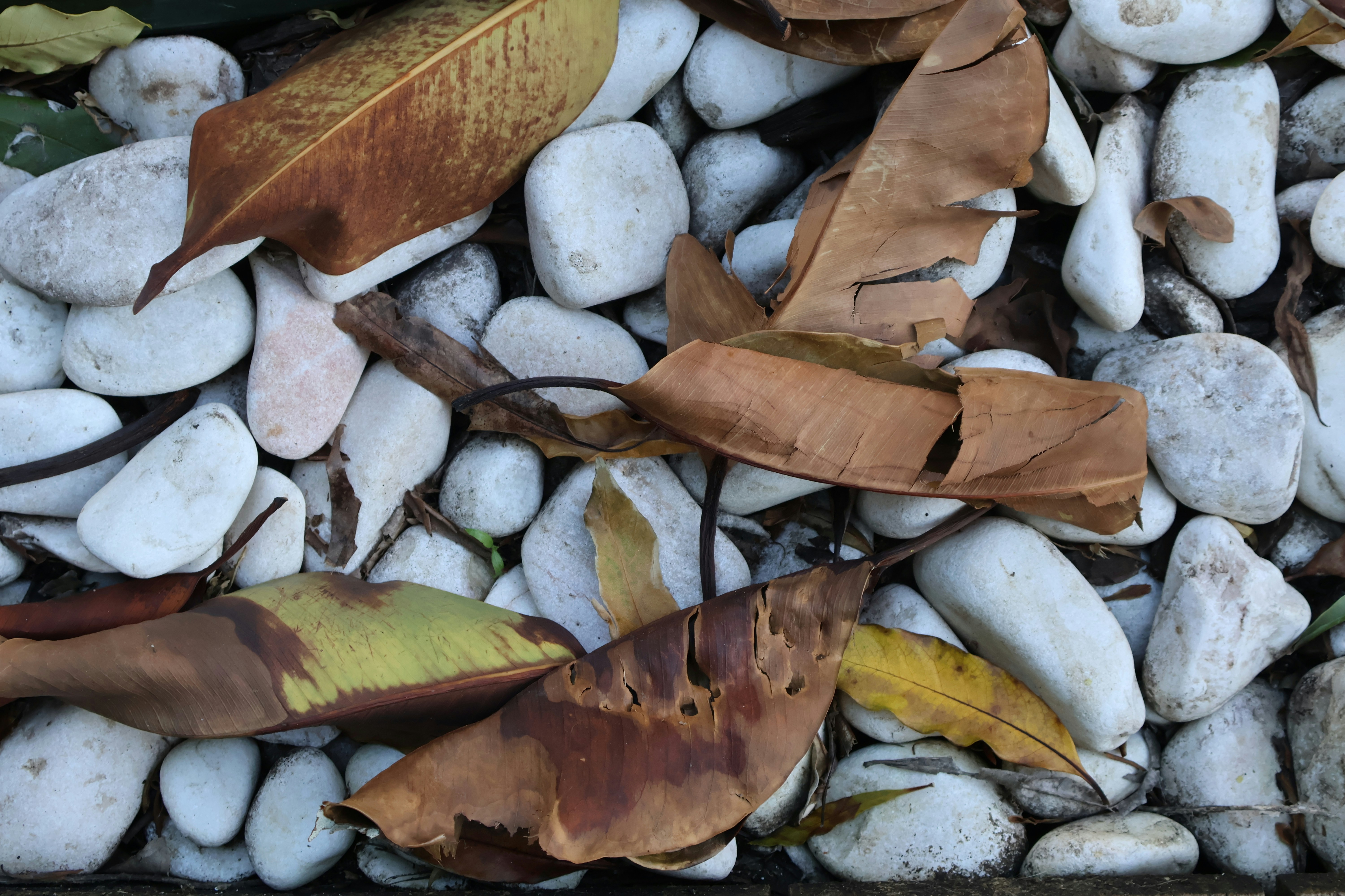 Photo by andreiacunha