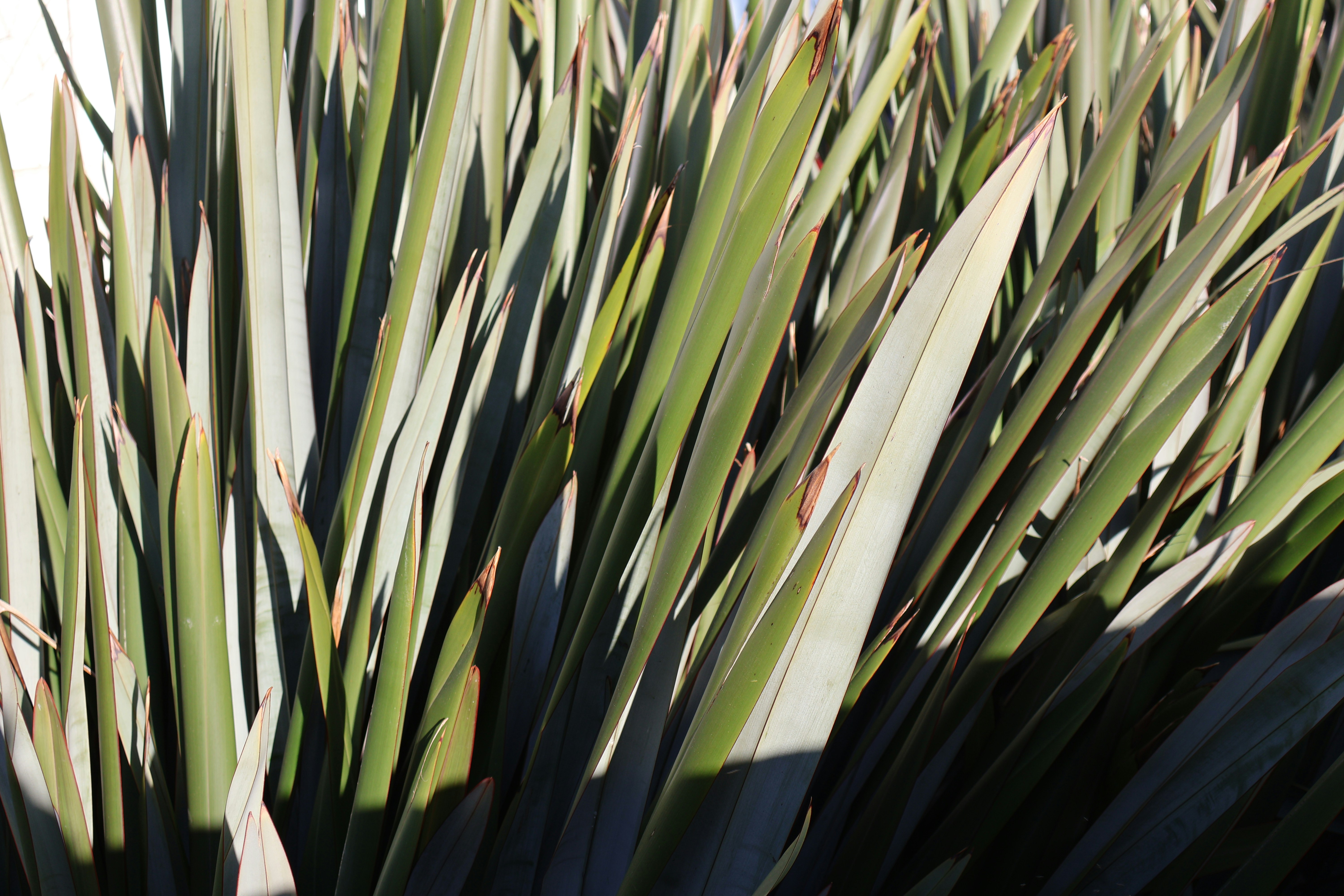 Photo by andreiacunha