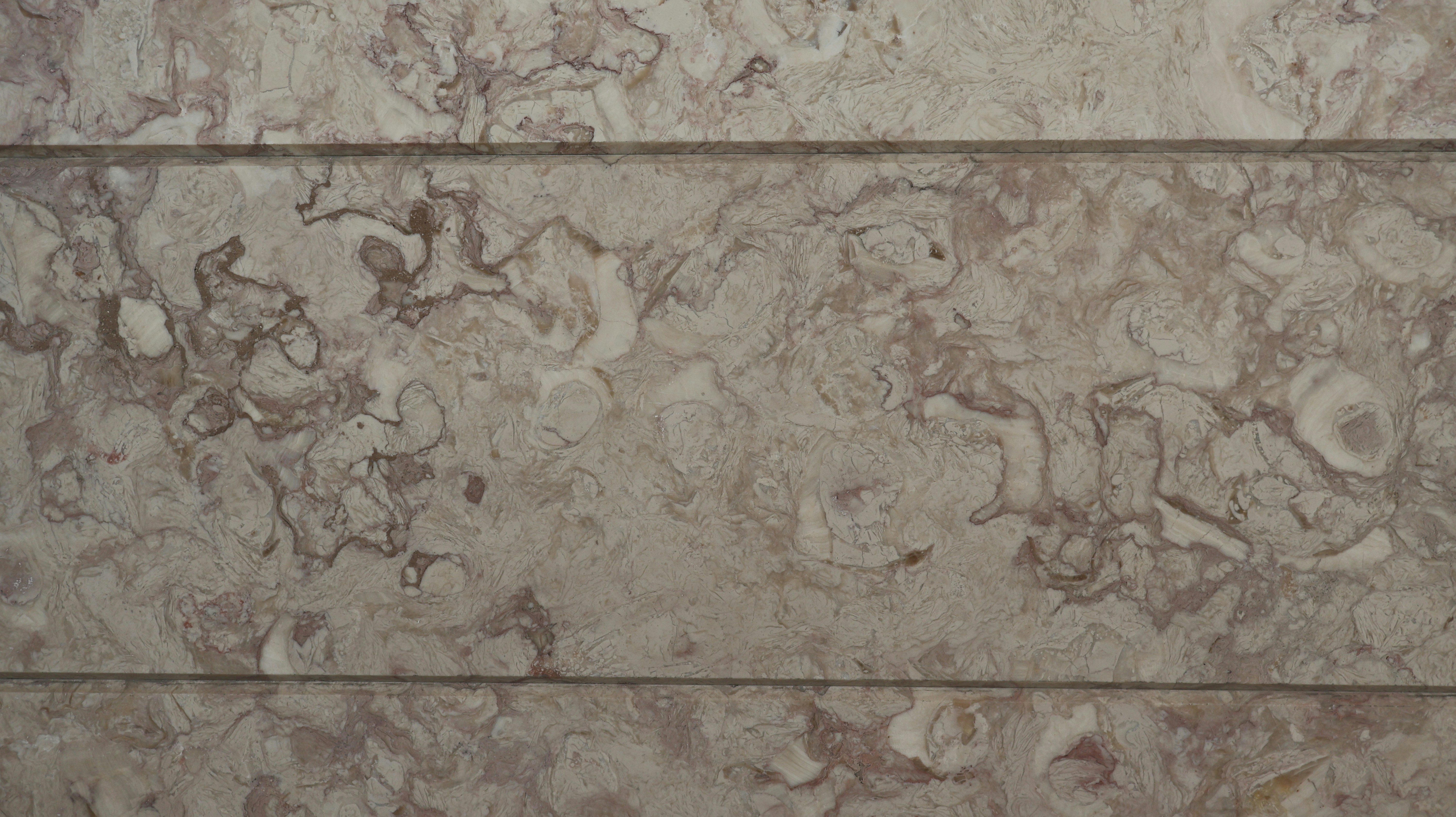 Photo by andreiacunha