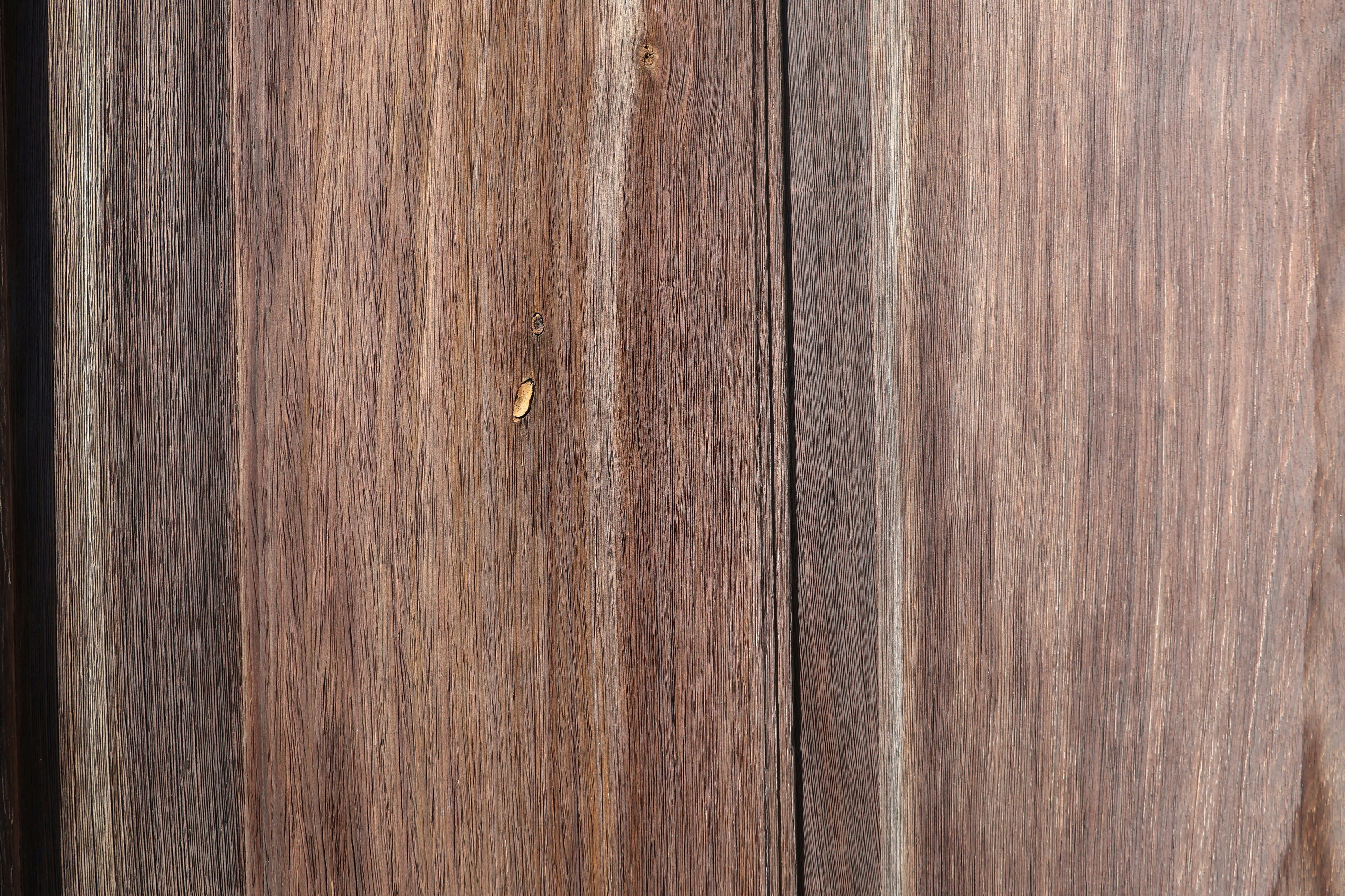 Photo by andreiacunha