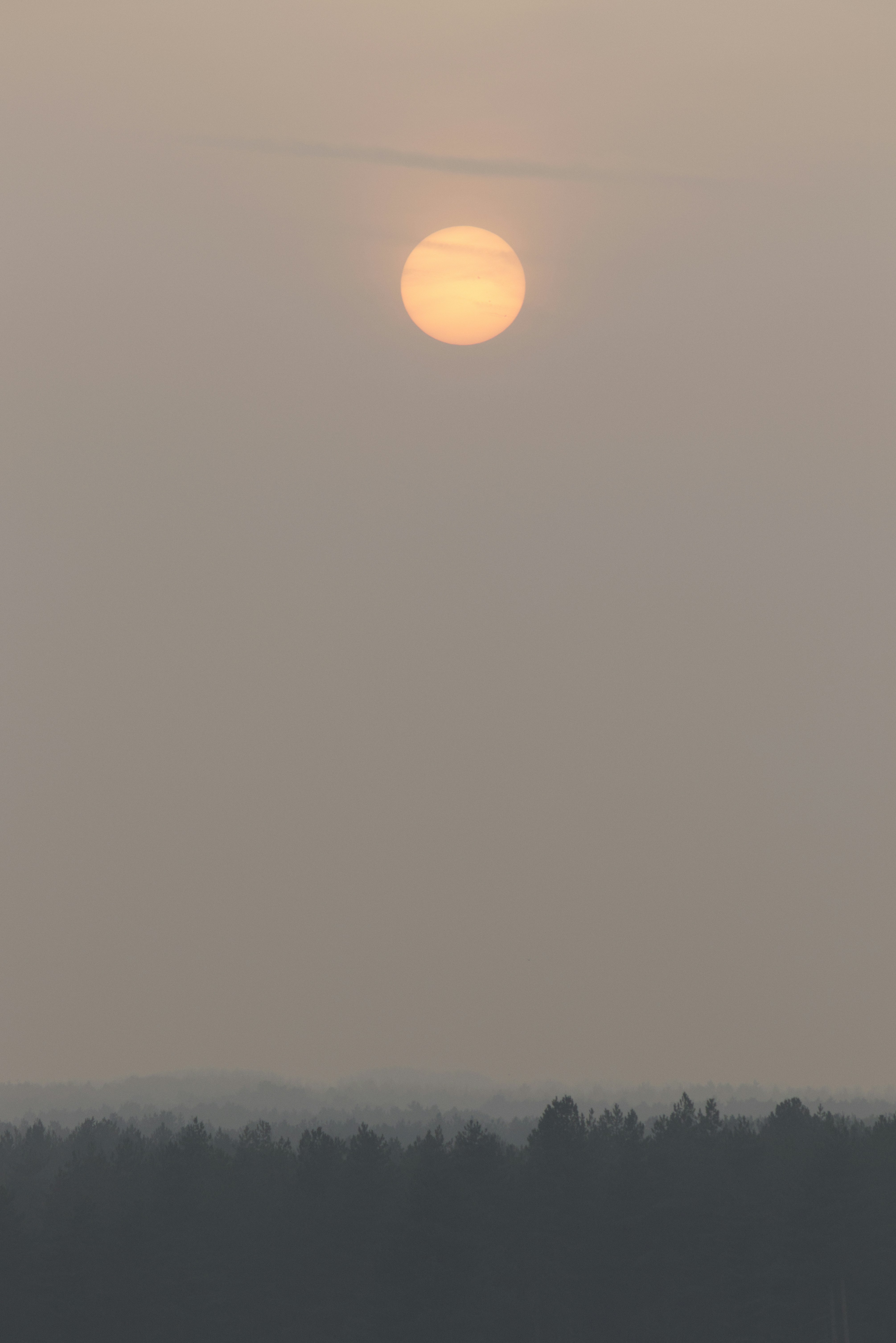 A hazy sun setting over a silhouetted forest