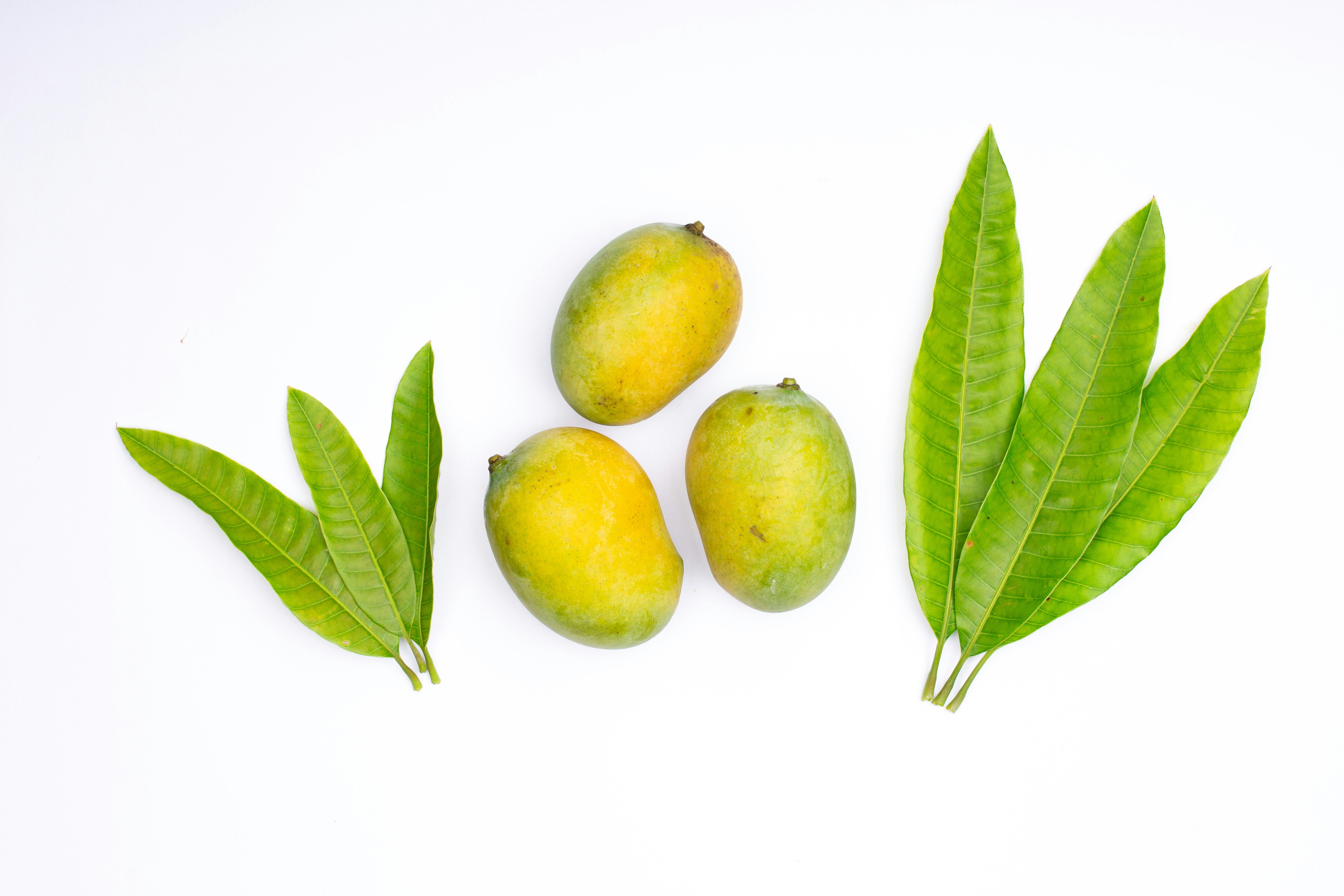 Photo by tamanna_rumee