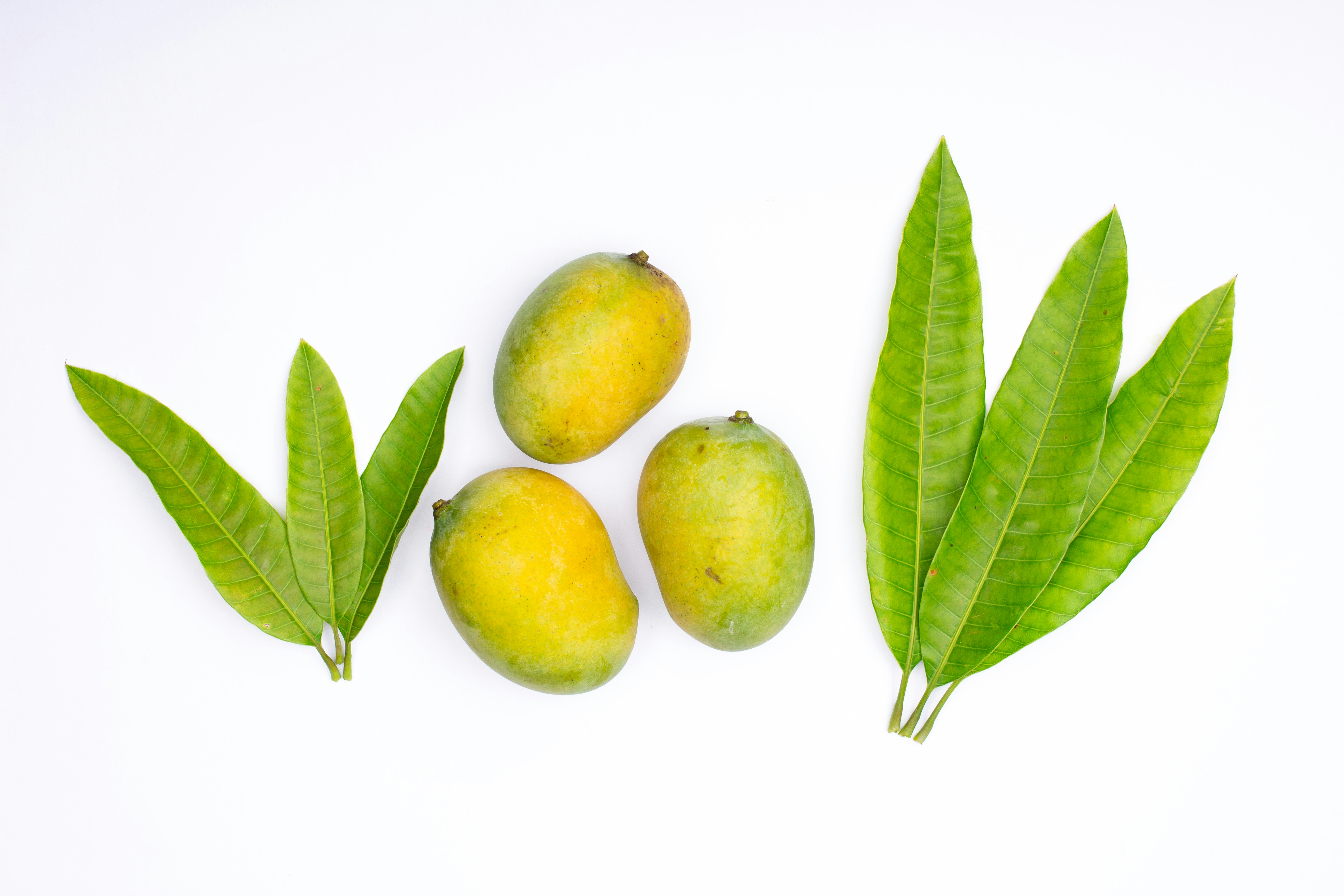 Photo by tamanna_rumee