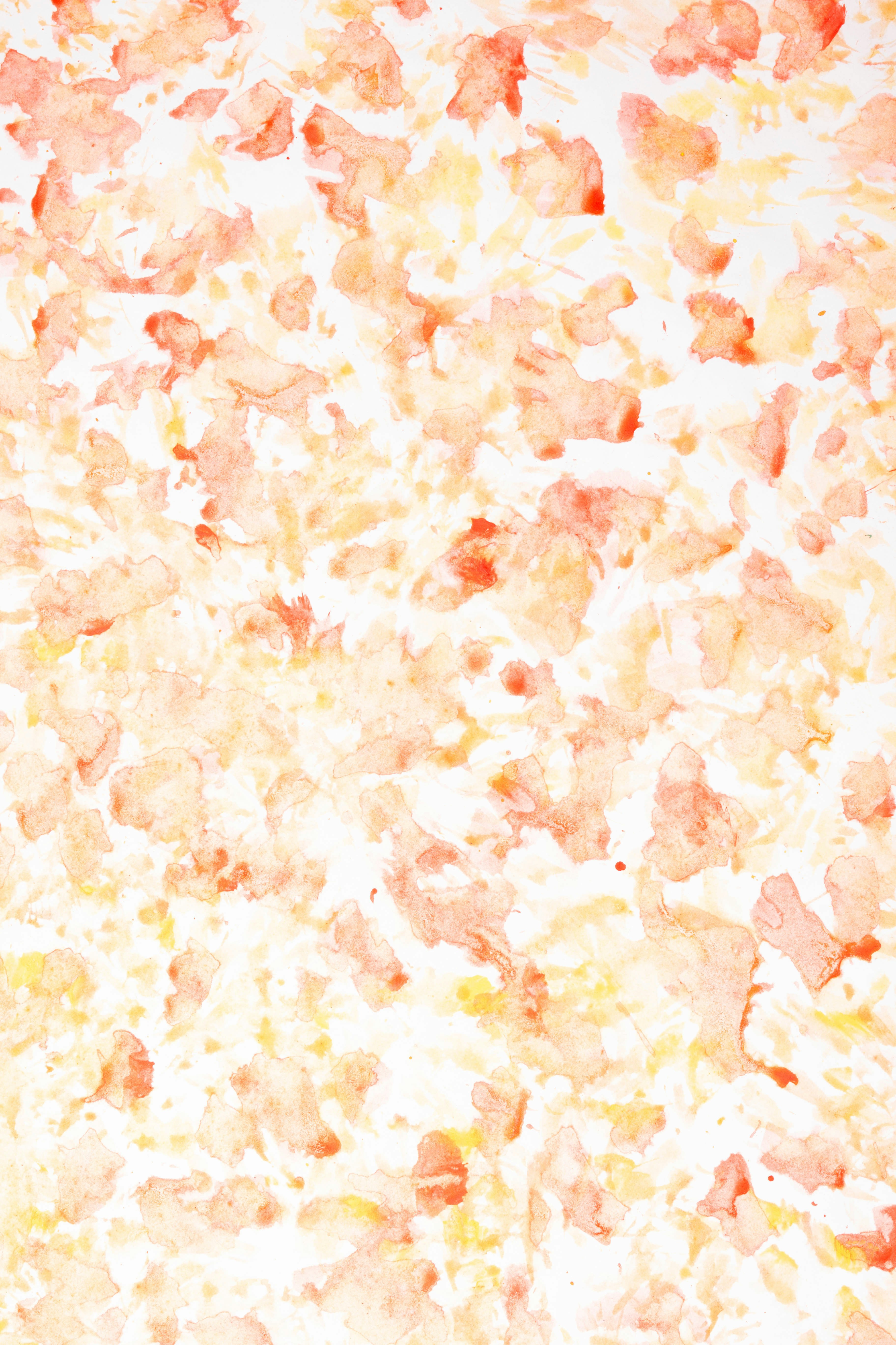 Photo by tamanna_rumee