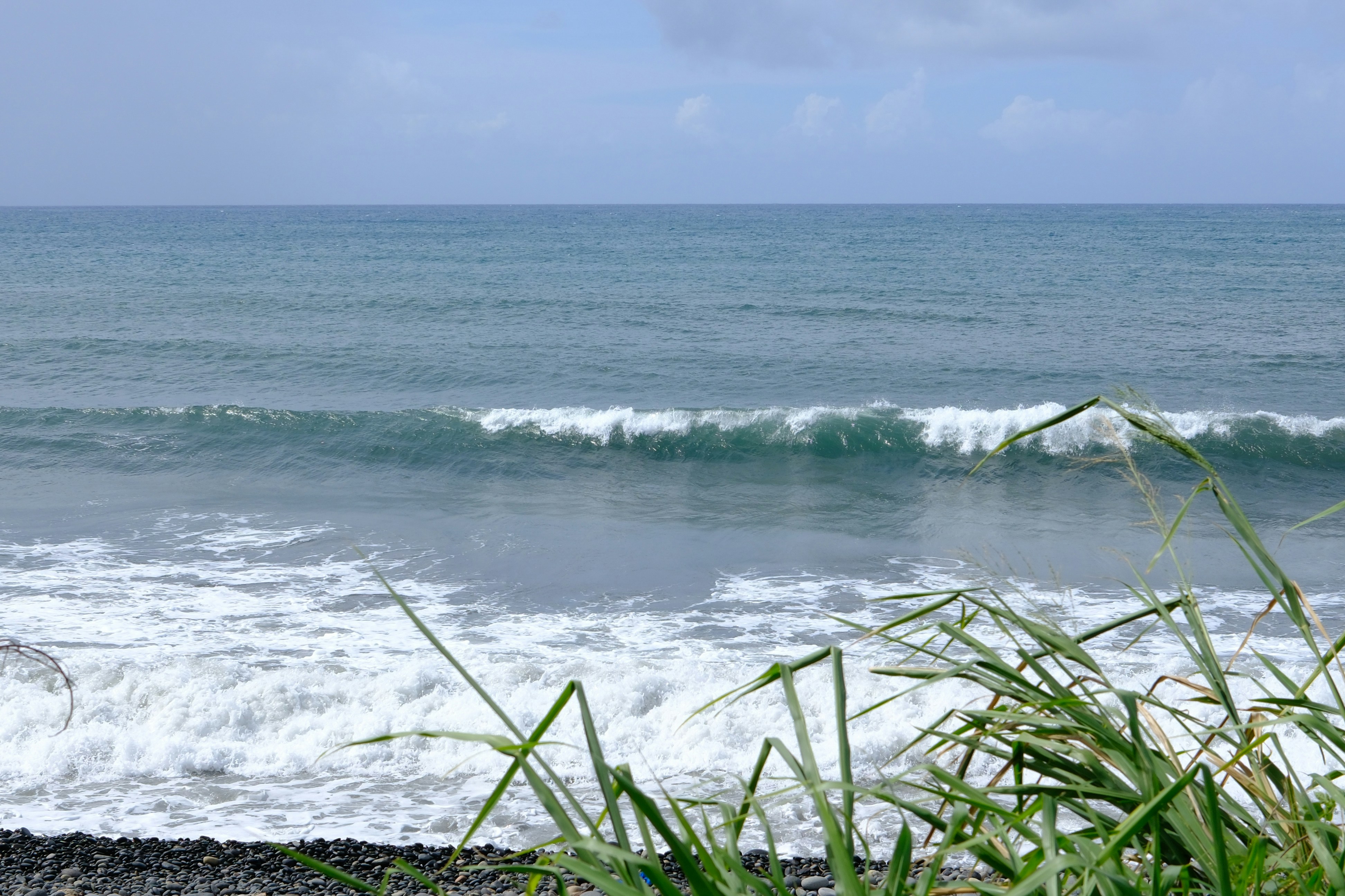 Photo by tropicalize