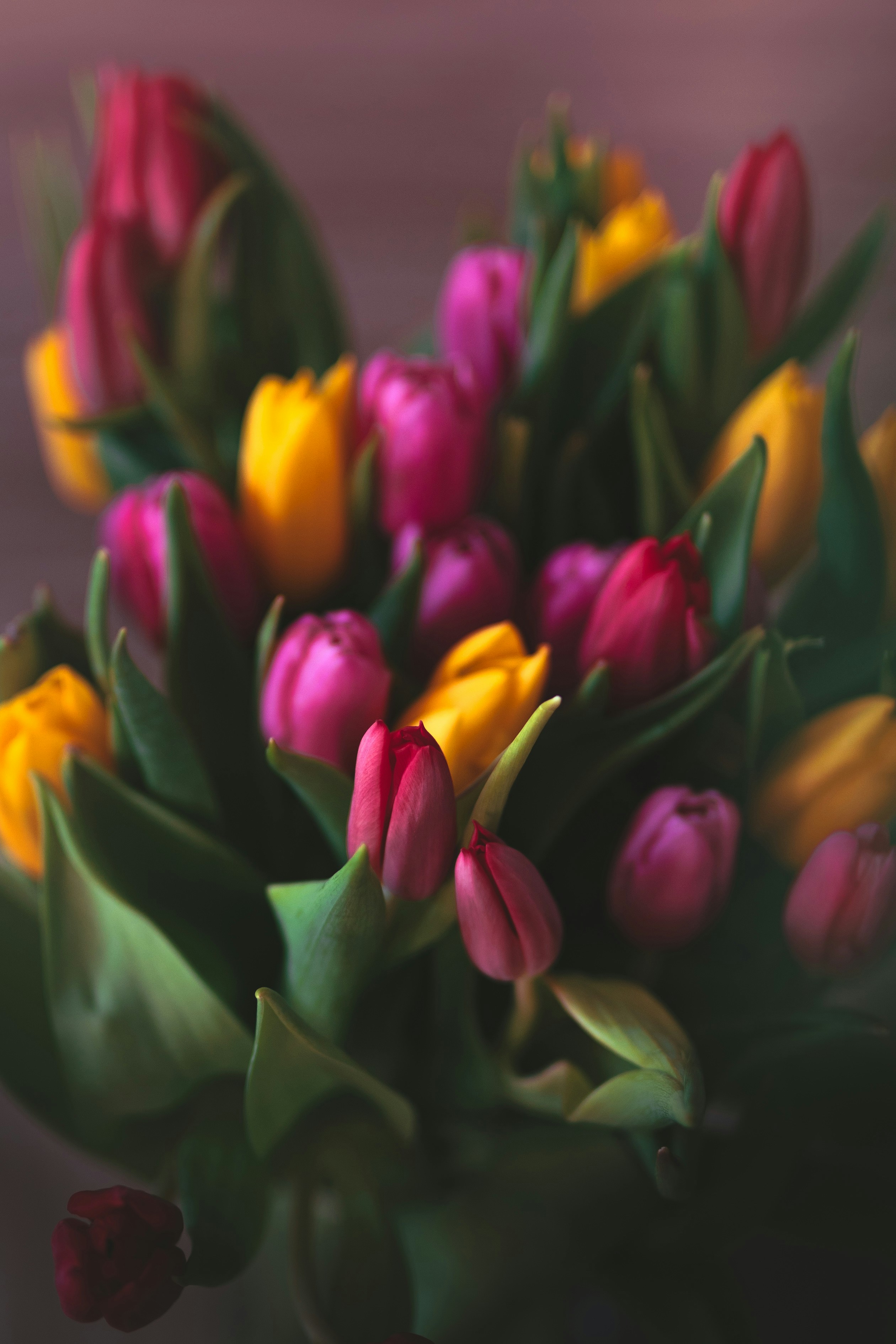 A vibrant bouquet of pink and yellow tulips