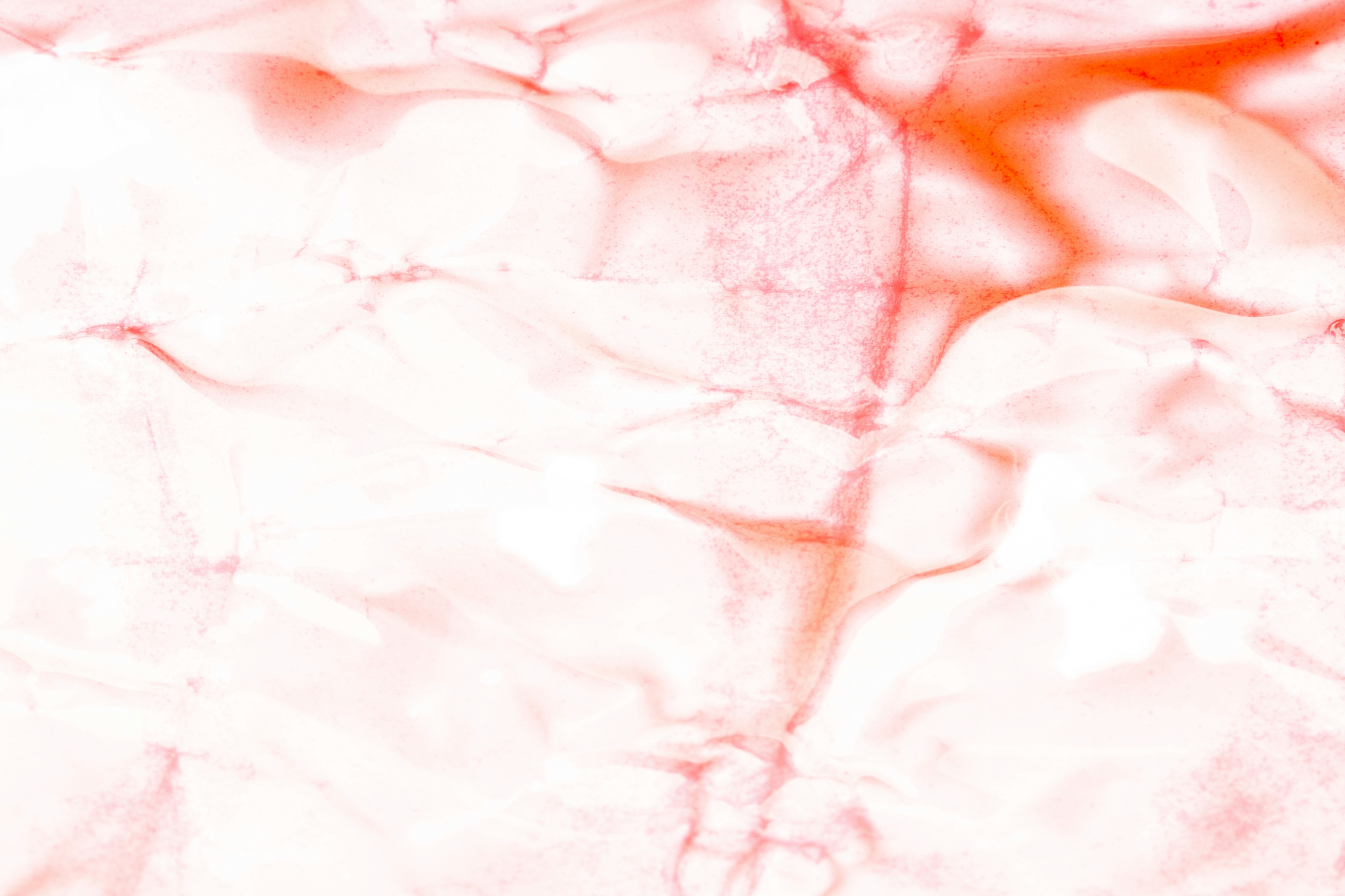 Photo by tamanna_rumee