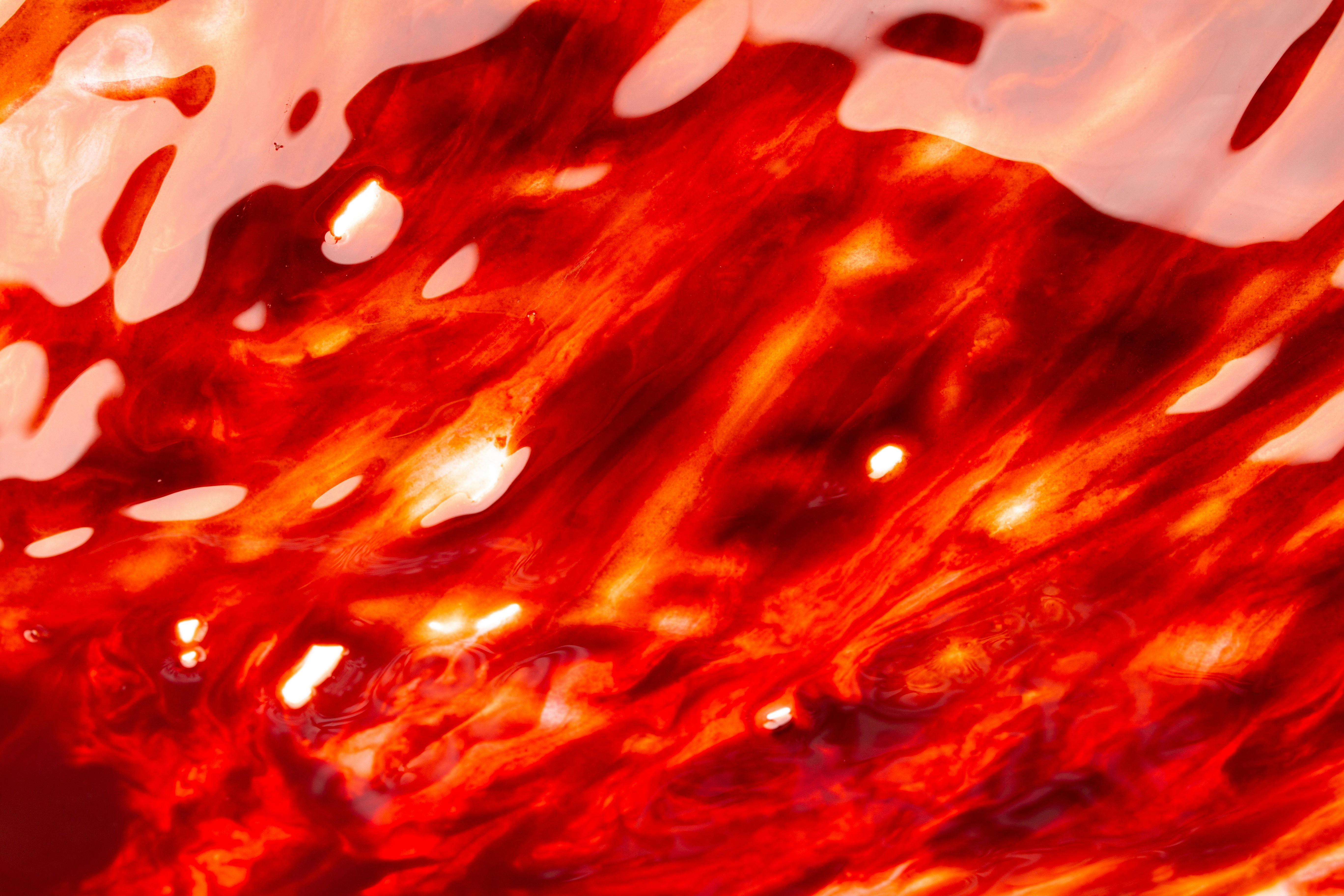 Photo by tamanna_rumee