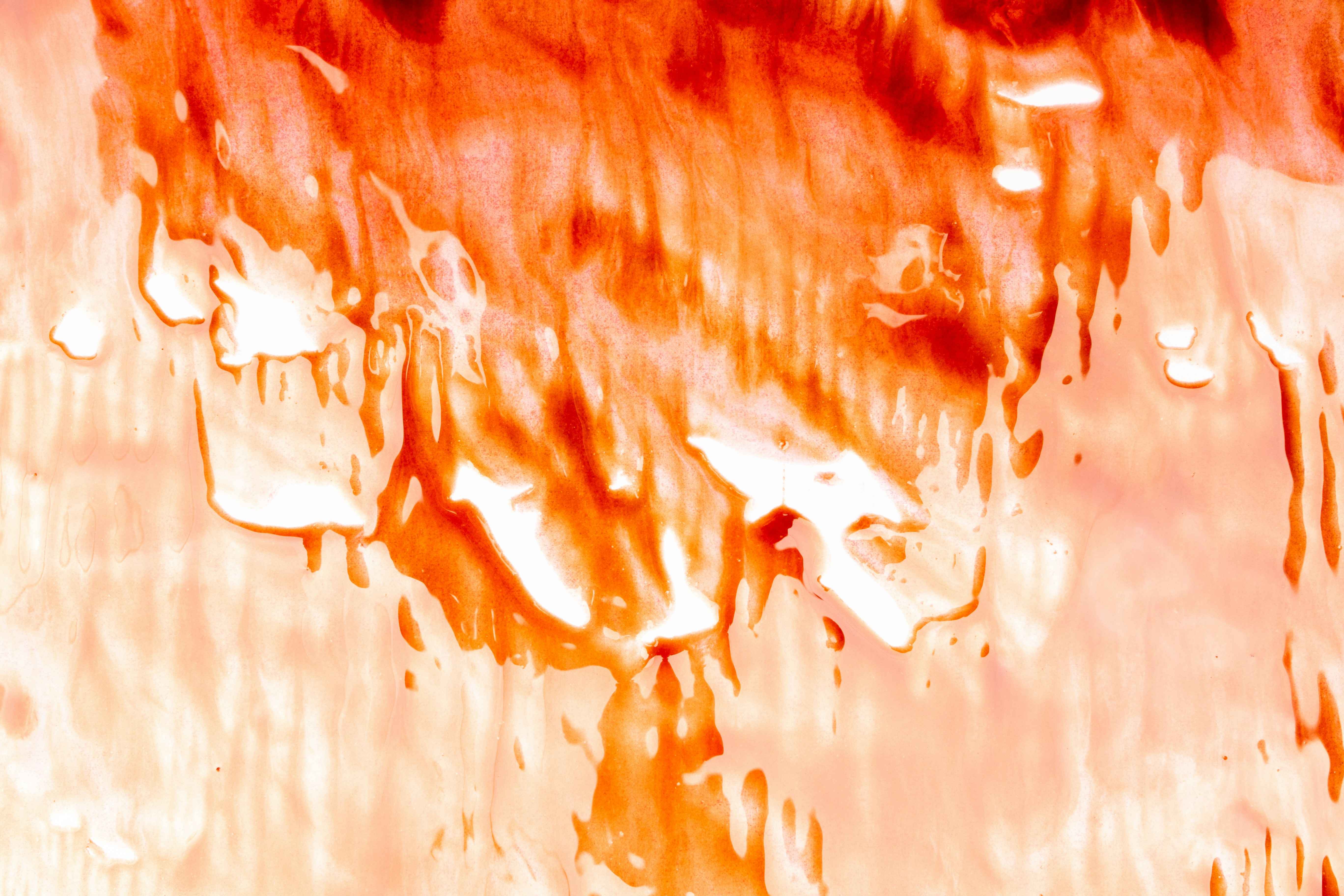 Photo by tamanna_rumee