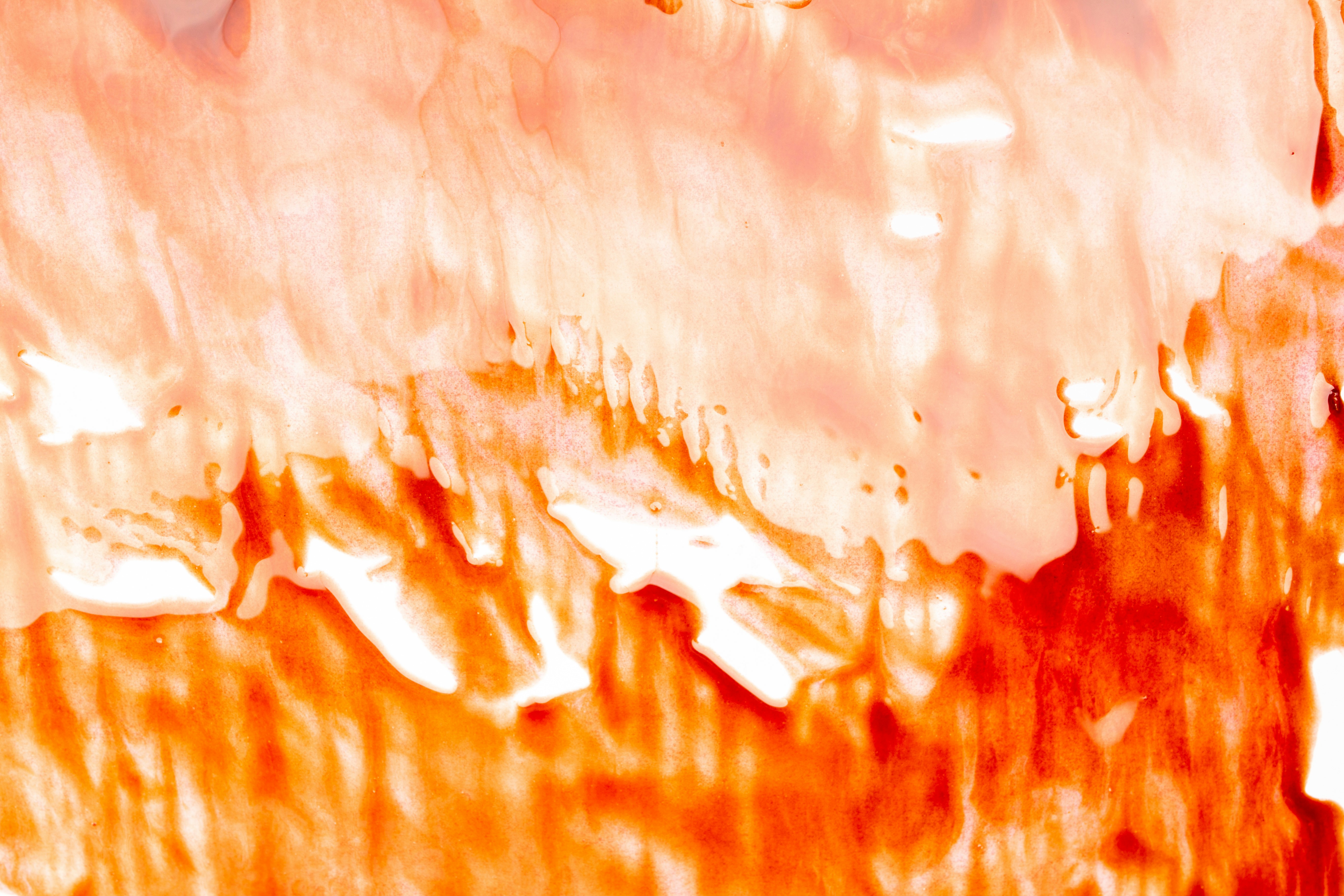 Photo by tamanna_rumee