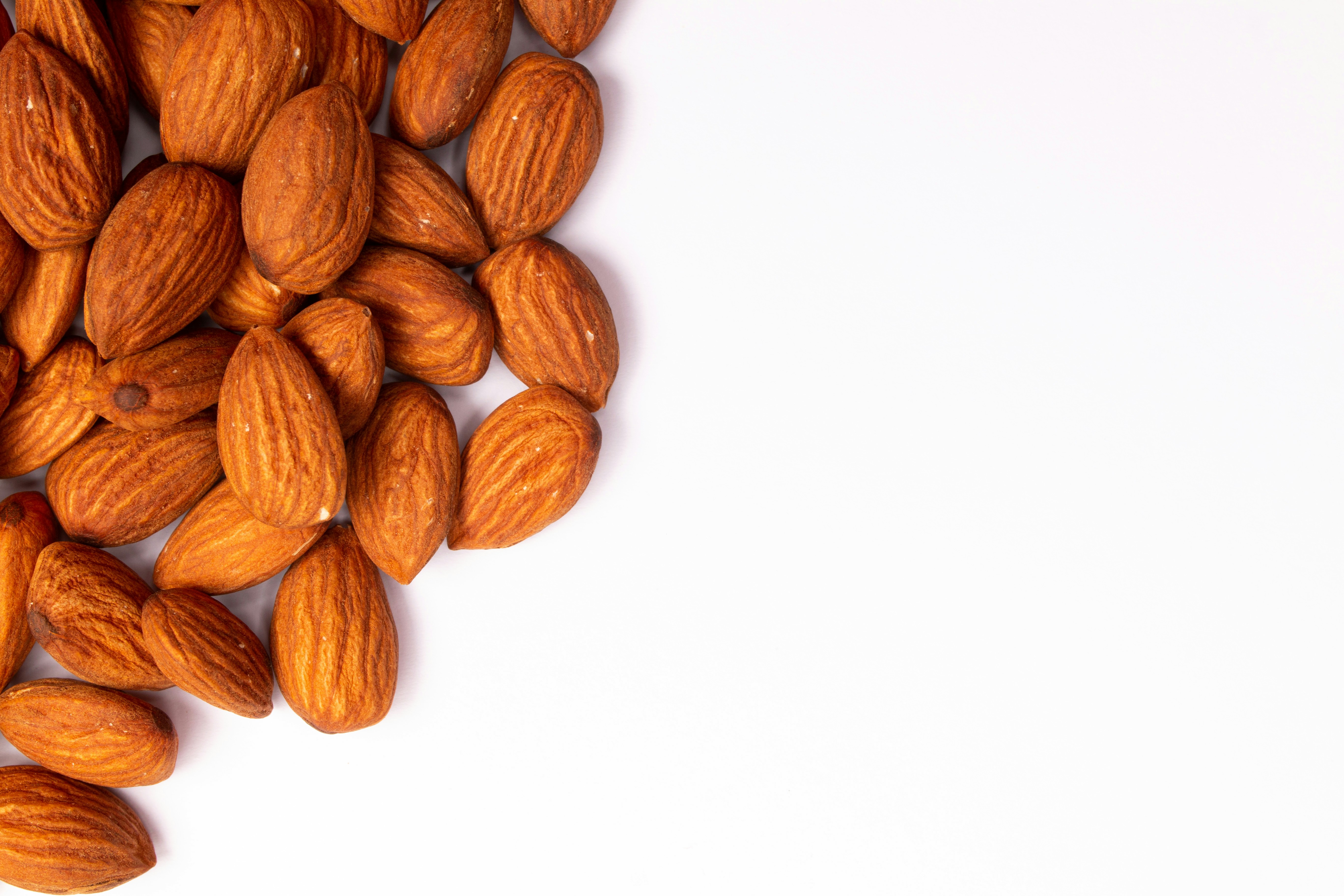 Photo by tamanna_rumee