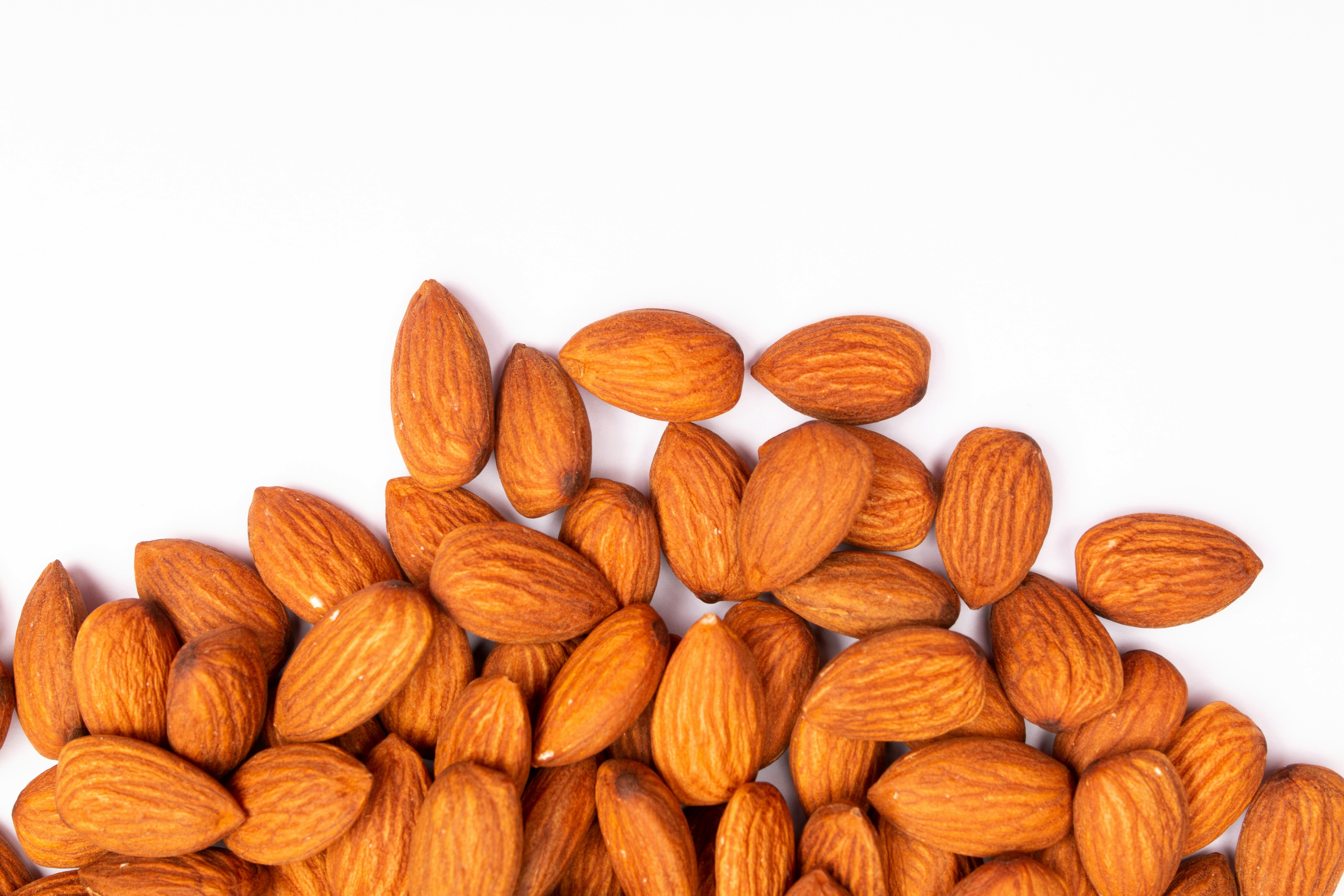 Photo by tamanna_rumee