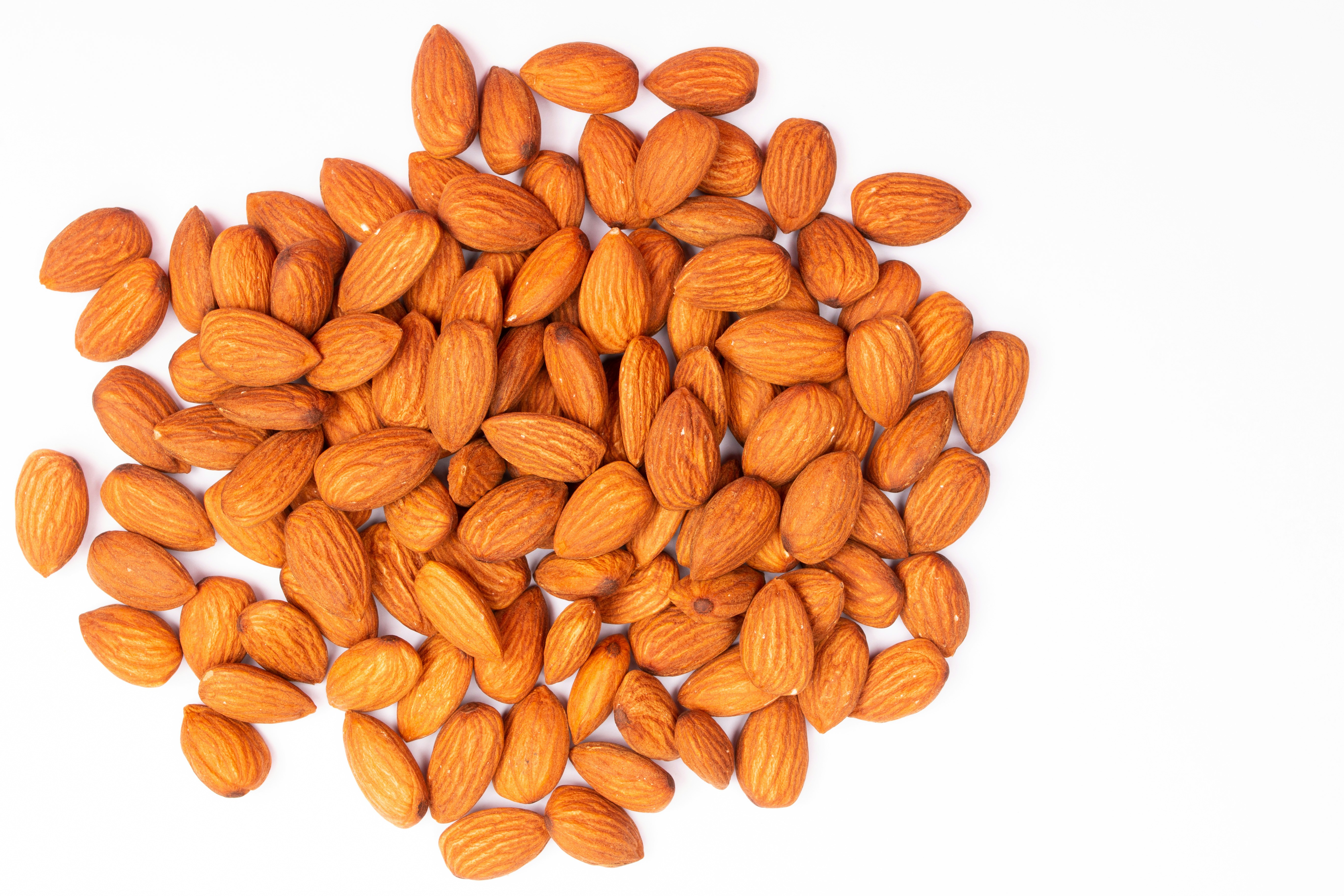 Photo by tamanna_rumee