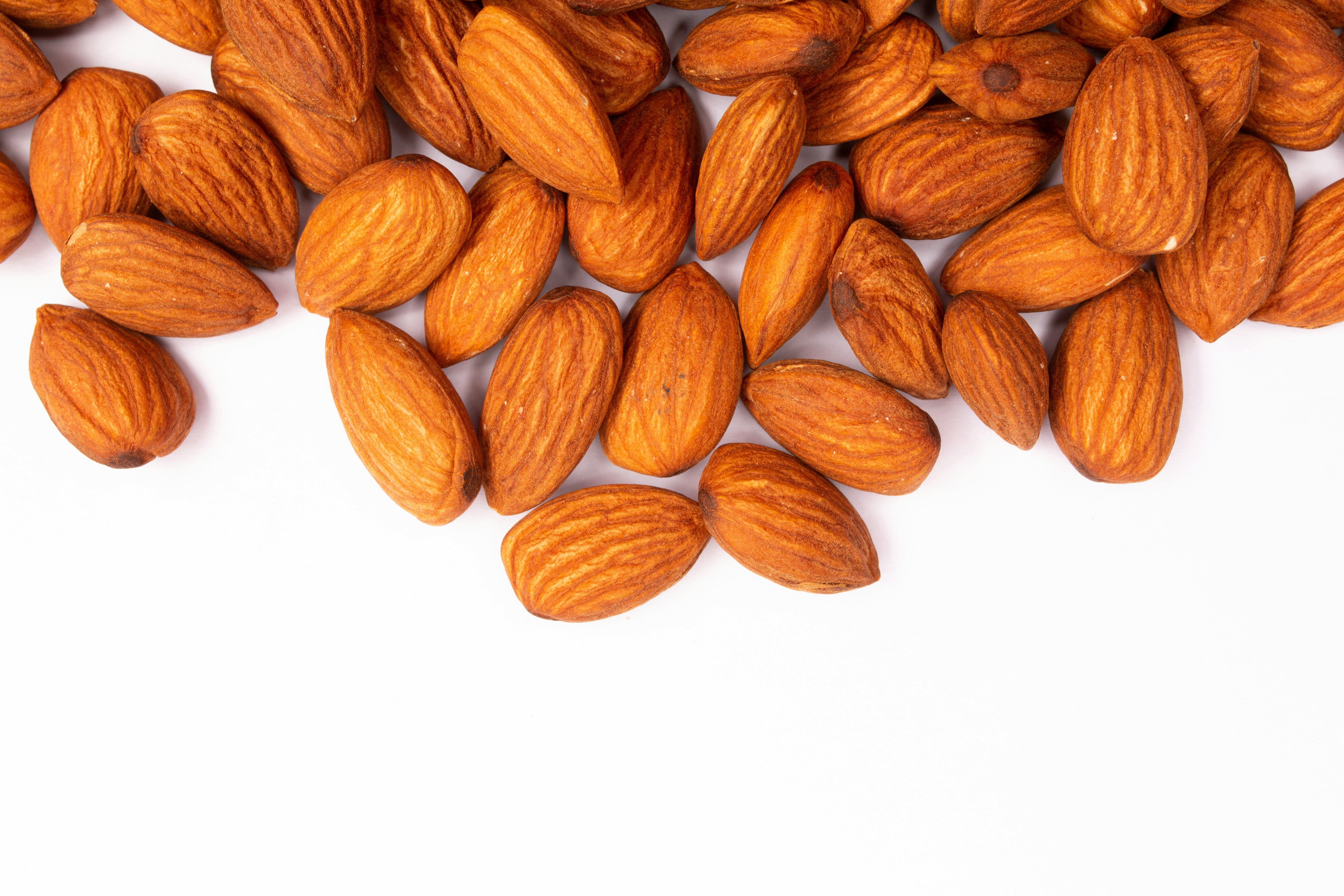 Photo by tamanna_rumee