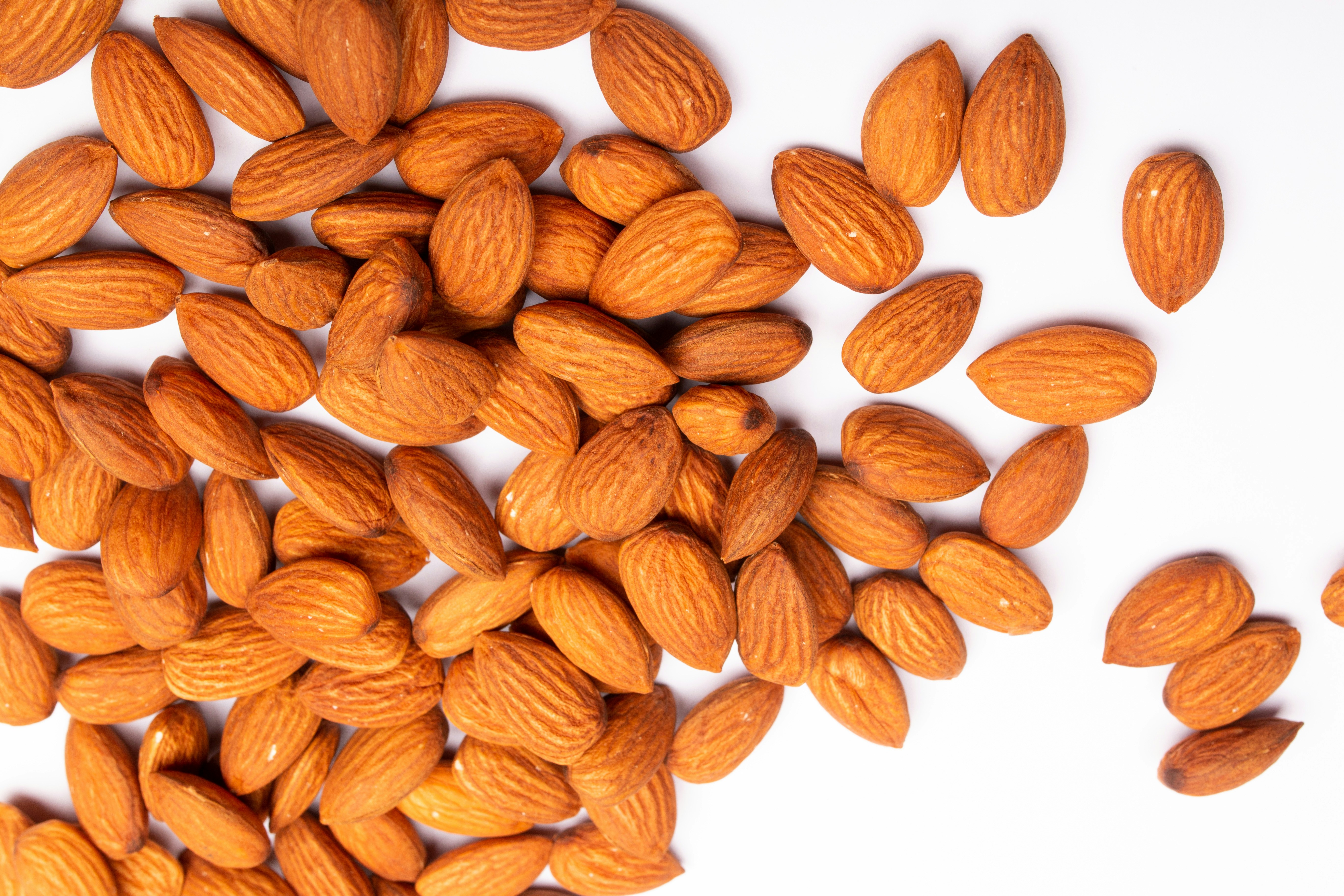 Photo by tamanna_rumee