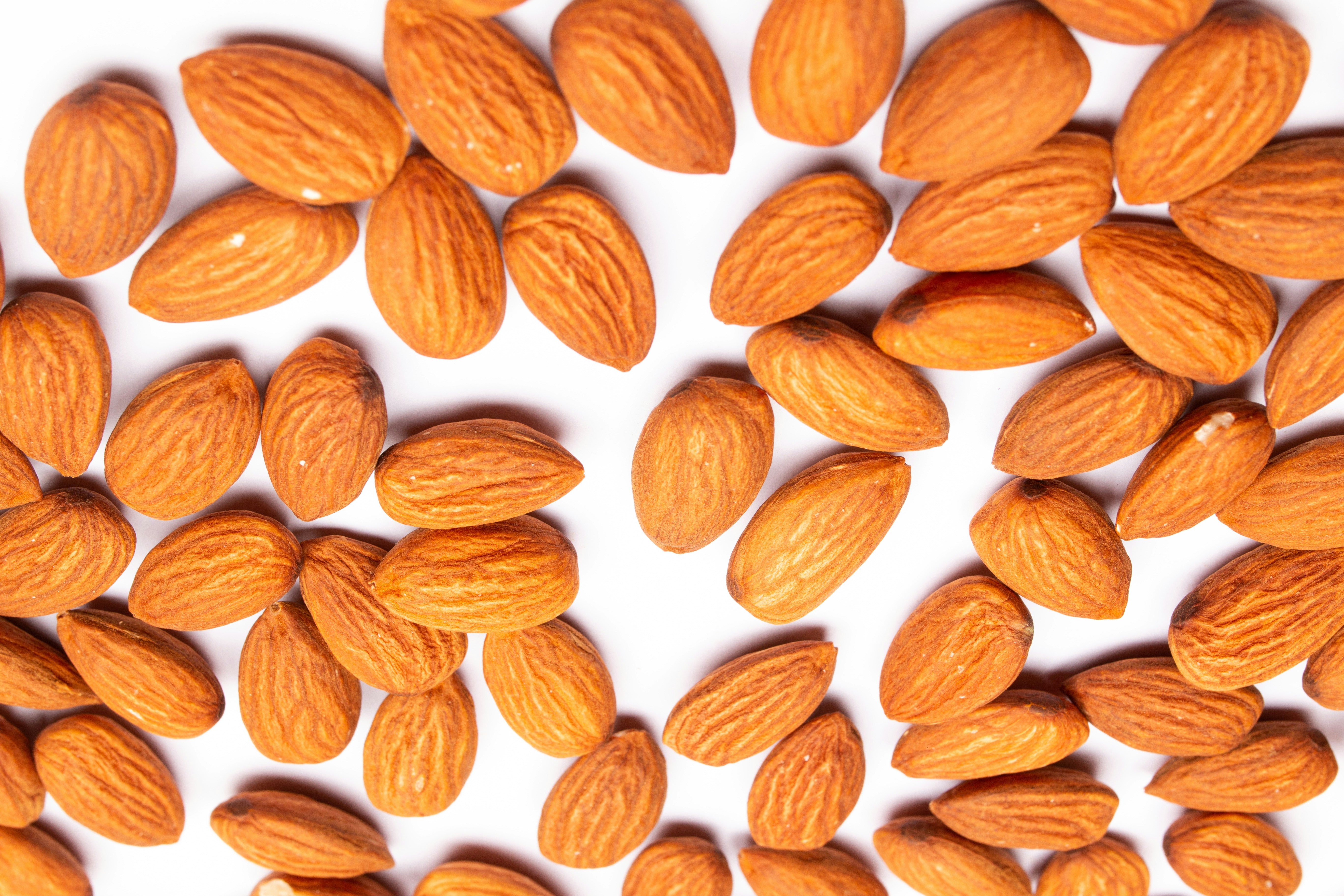 Photo by tamanna_rumee